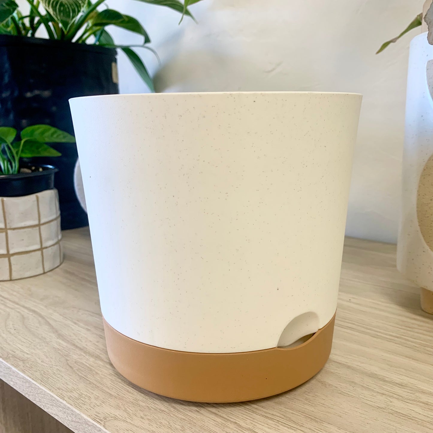 Modern Plastic Planter