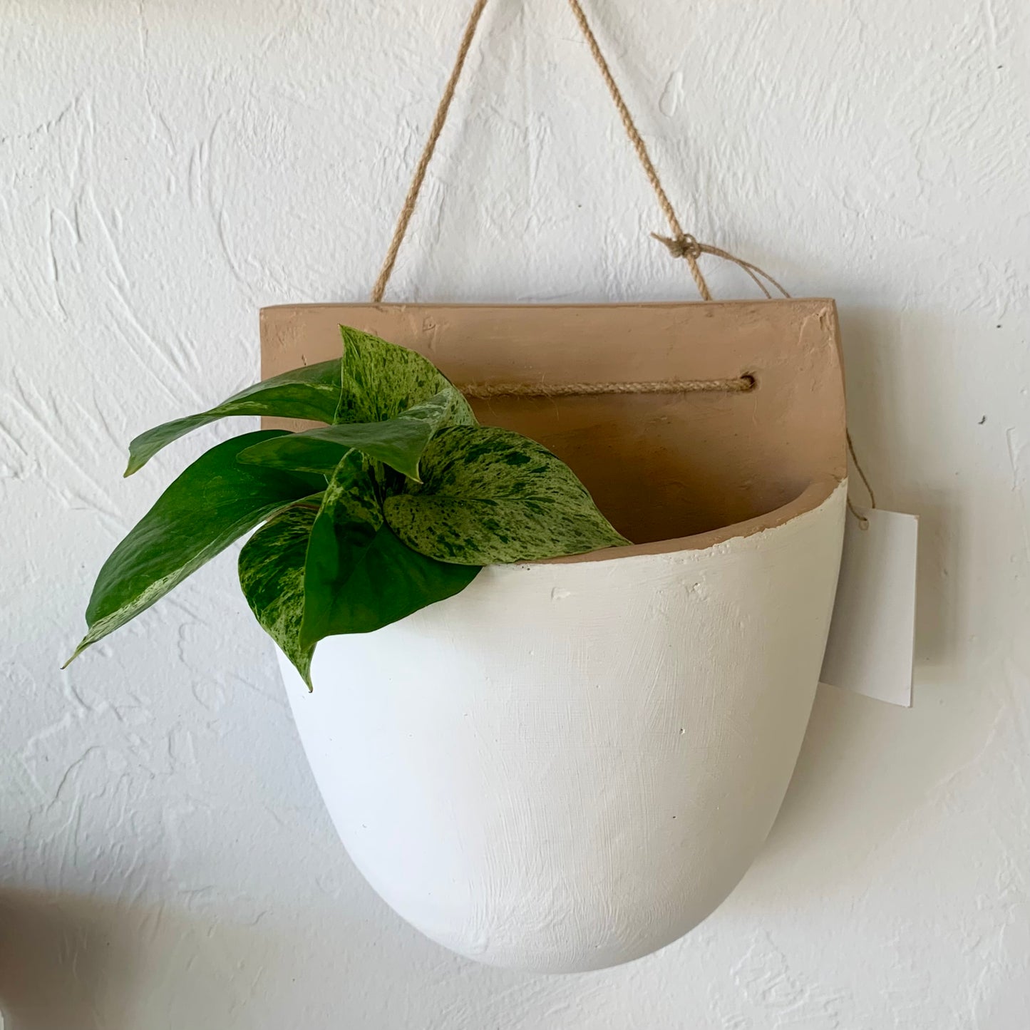 Clay Wall Hanging Planter