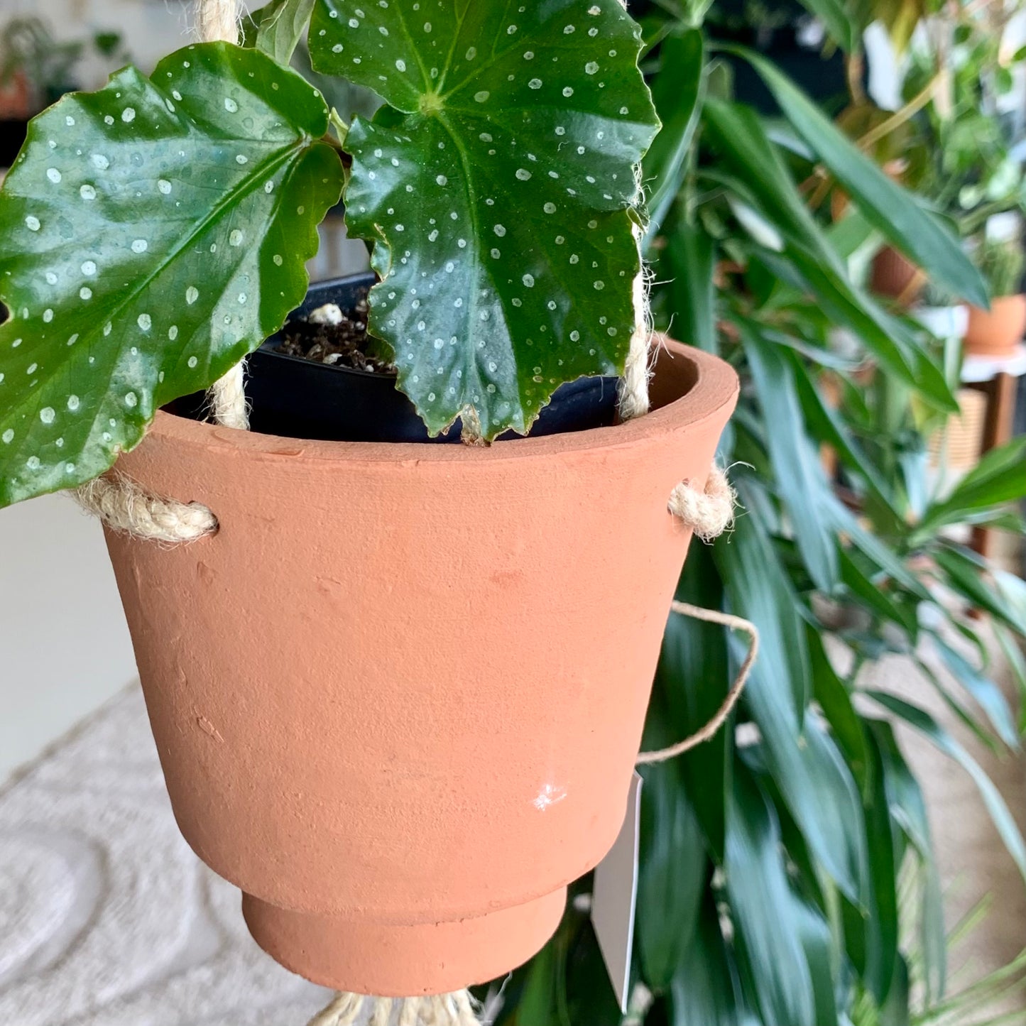 Small Hanging Terracotta Planter