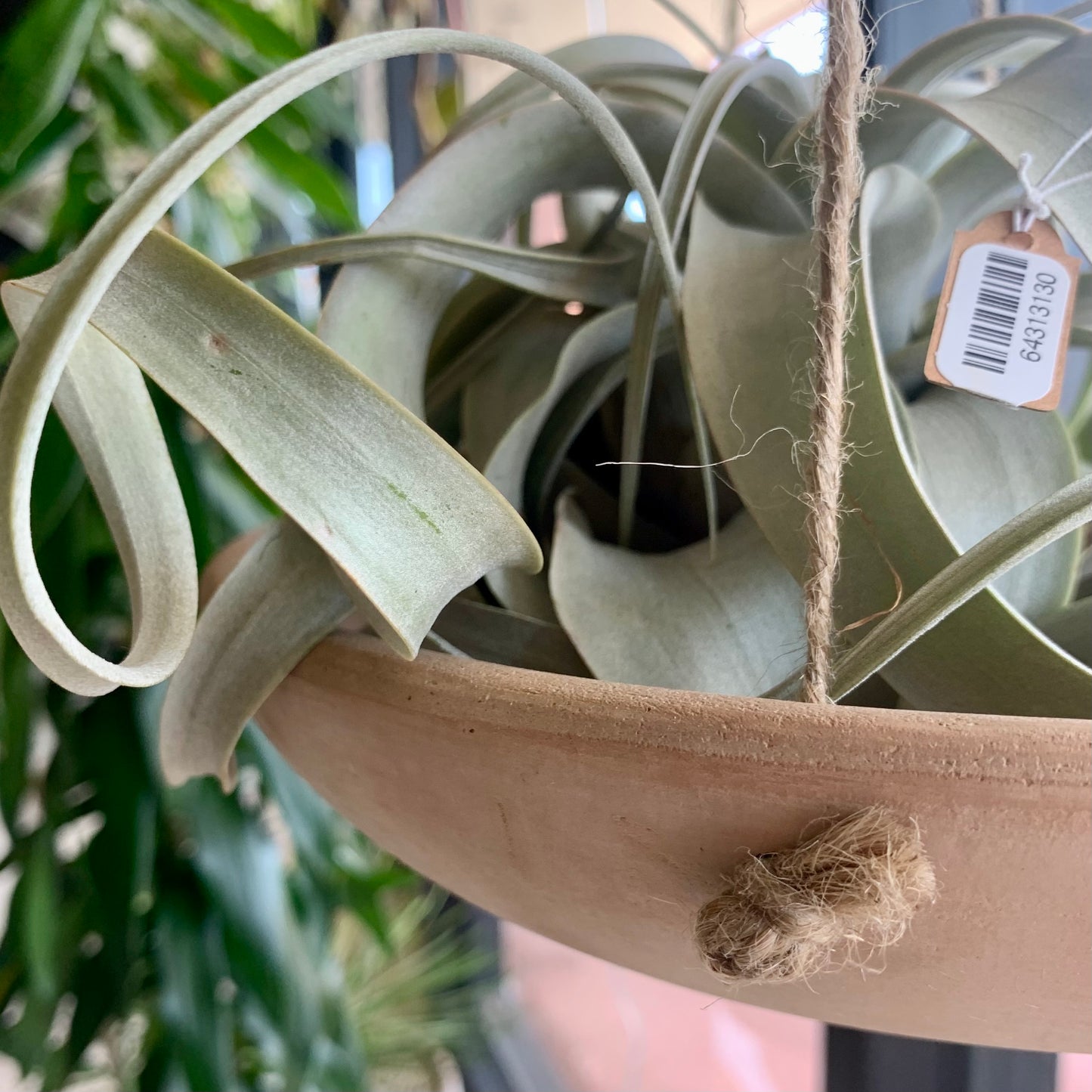 Large Hanging Terracotta Planter