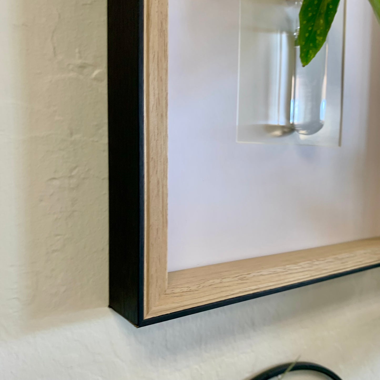 Living Art Frame w/ Cutting