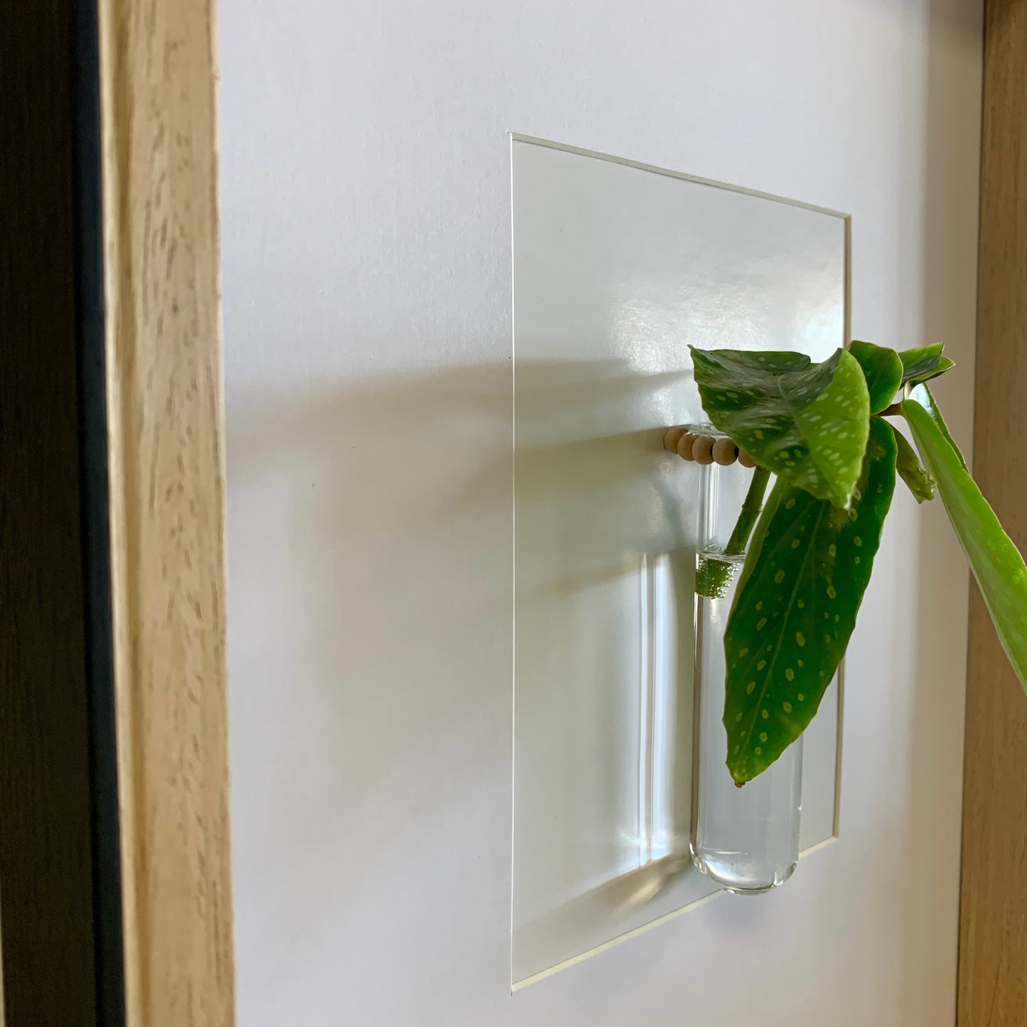 Living Art Frame w/ Cutting