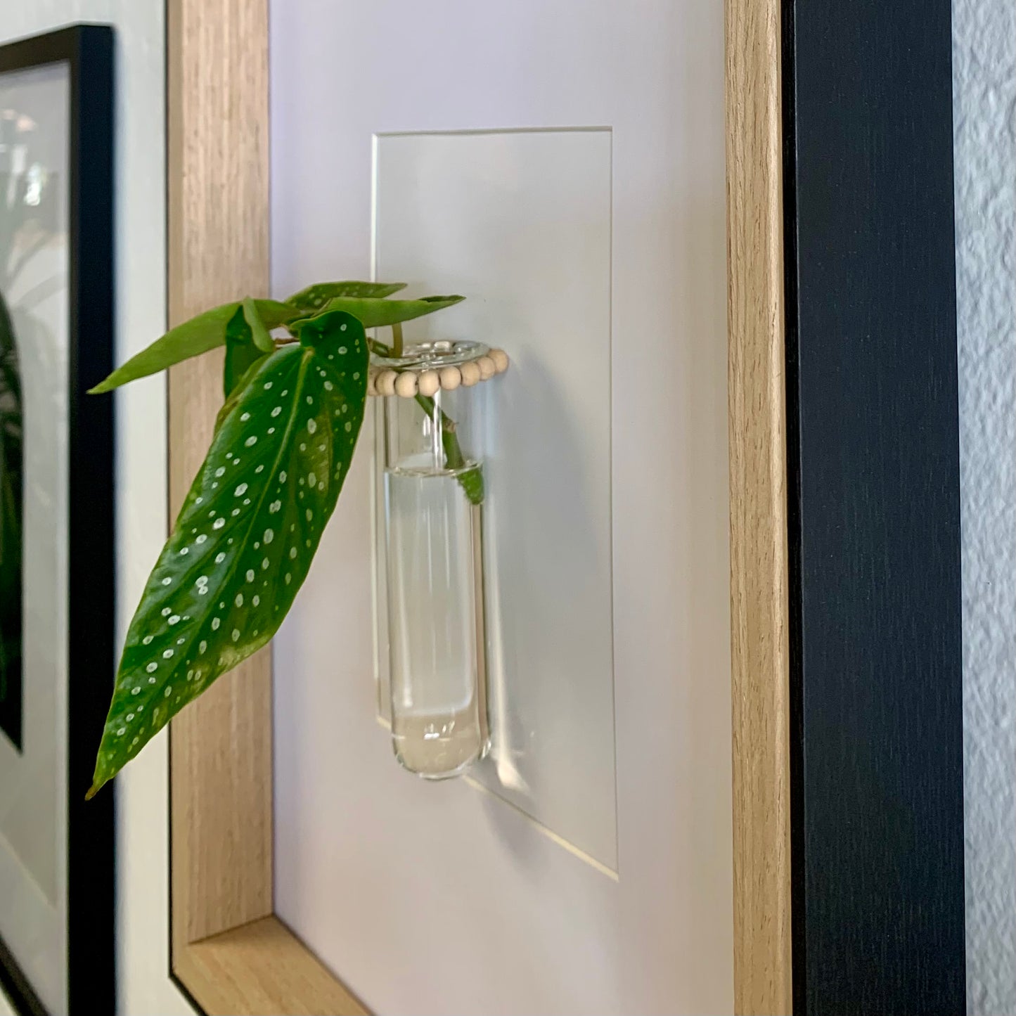 Living Art Frame w/ Cutting