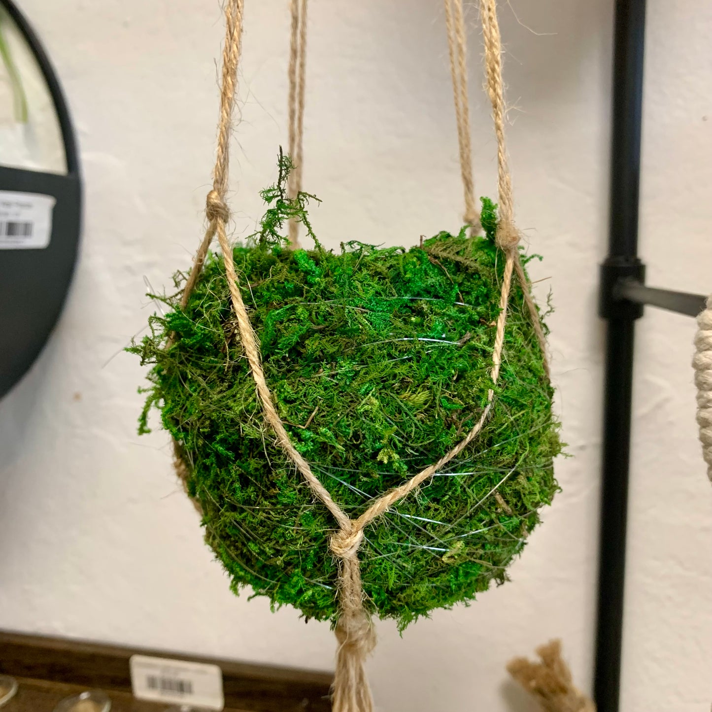 Kokedama