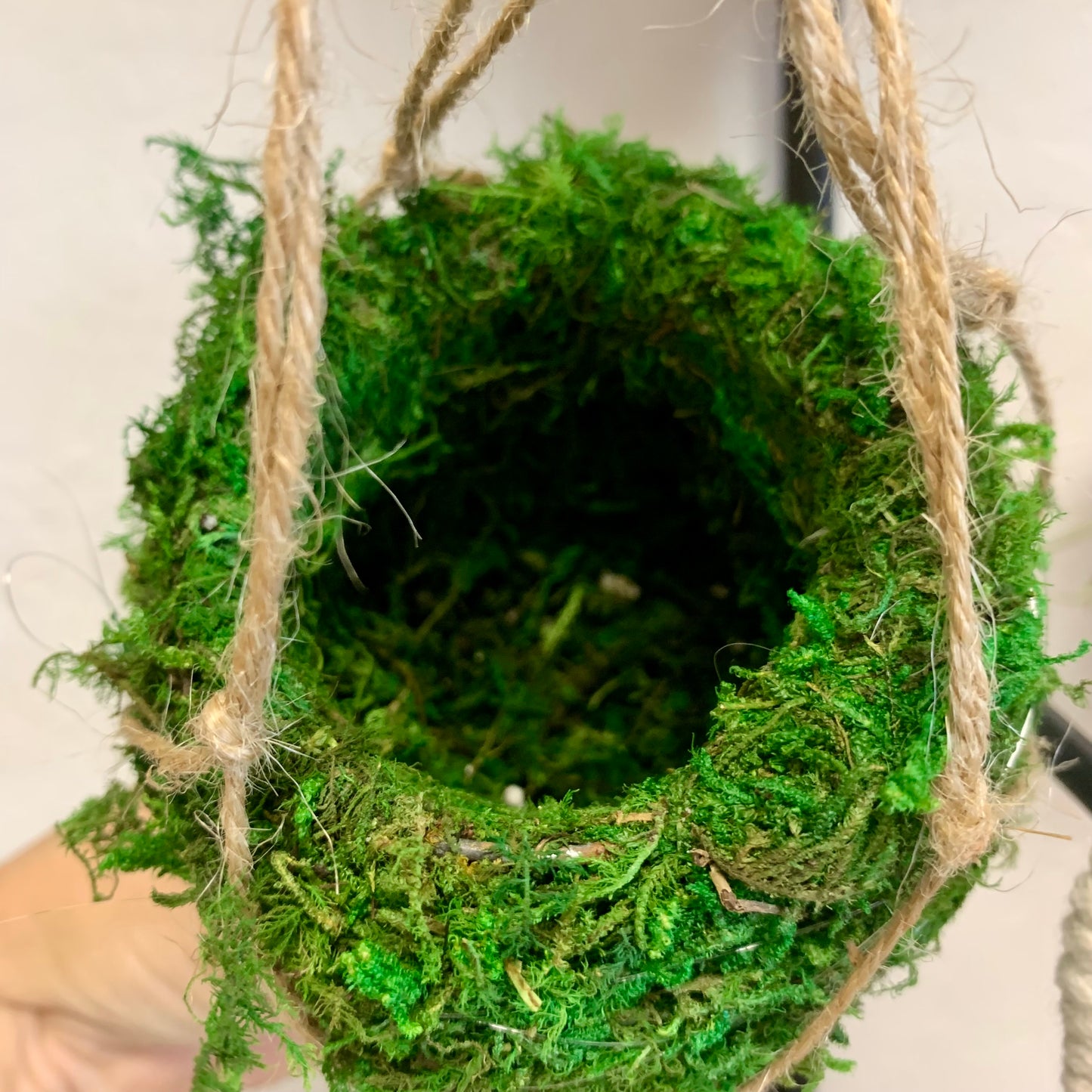 Kokedama