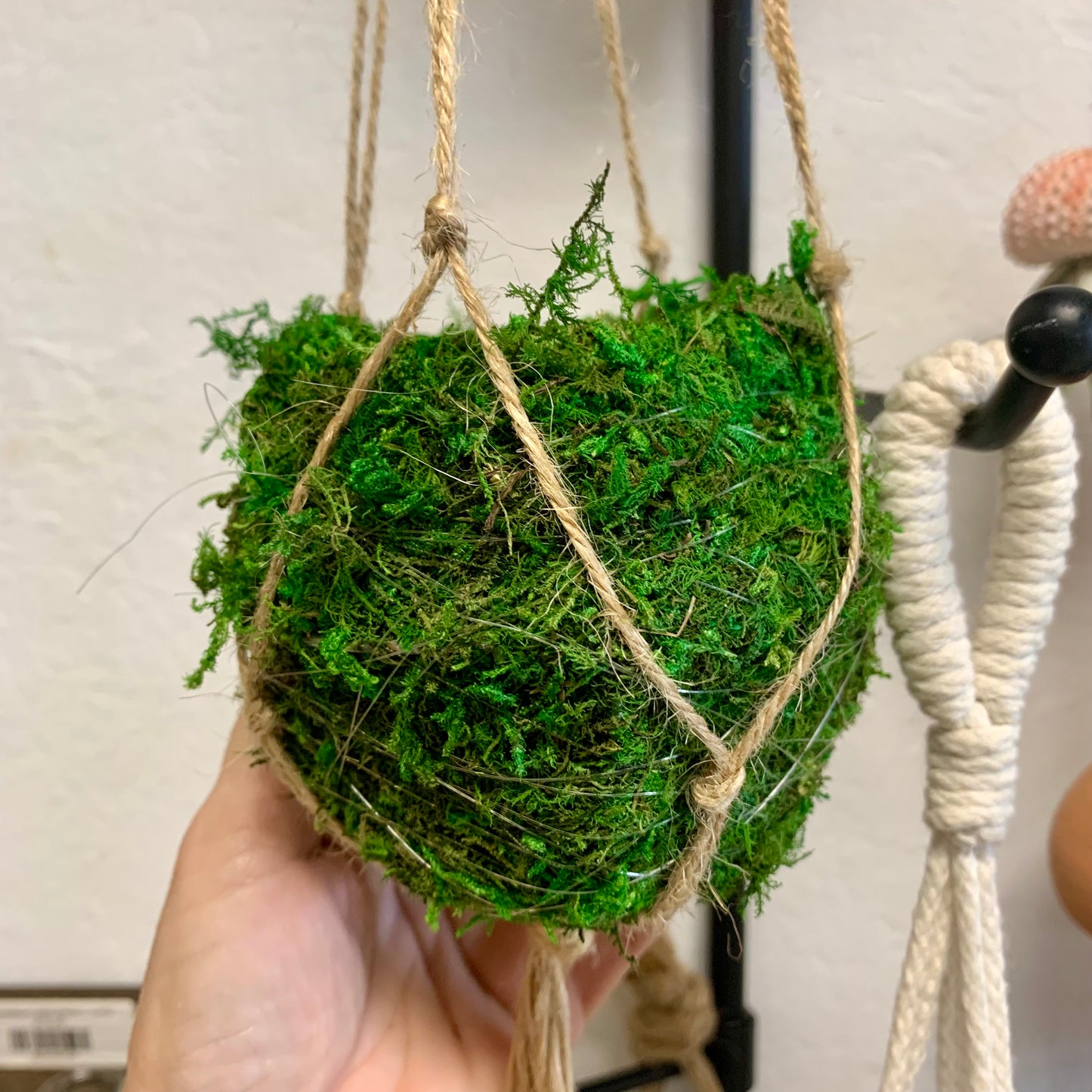 Kokedama