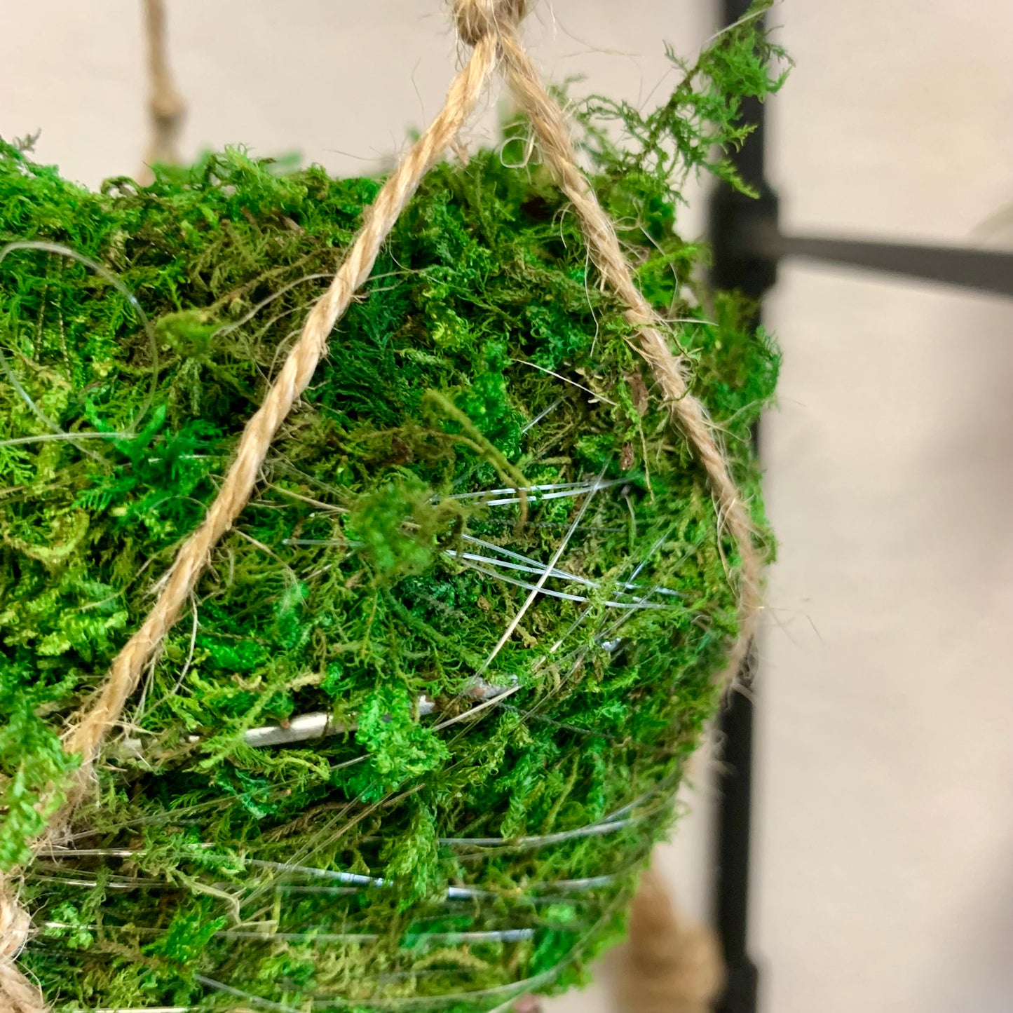 Kokedama