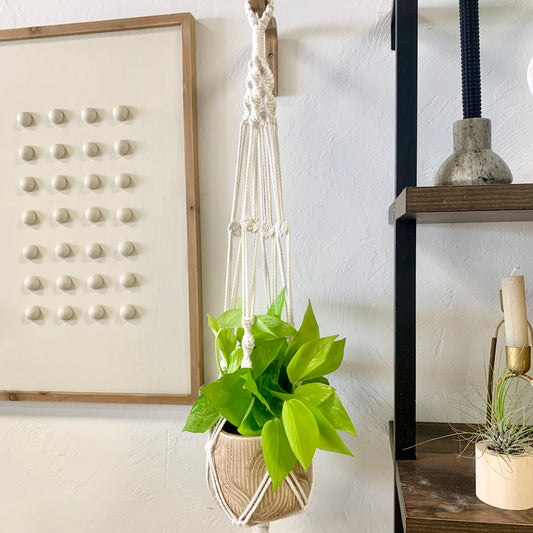 Macrame Plant Hangers