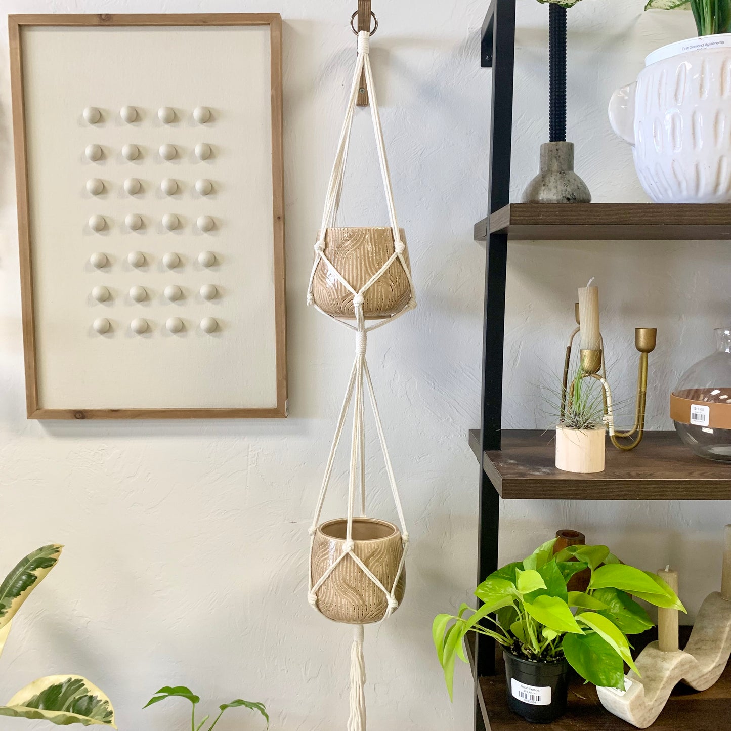 Macrame Plant Hangers