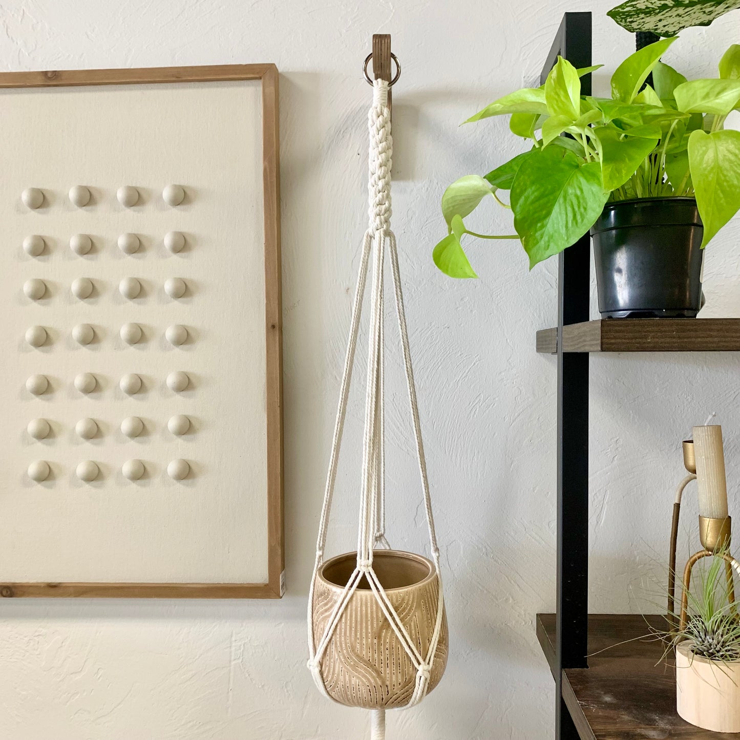 Macrame Plant Hangers