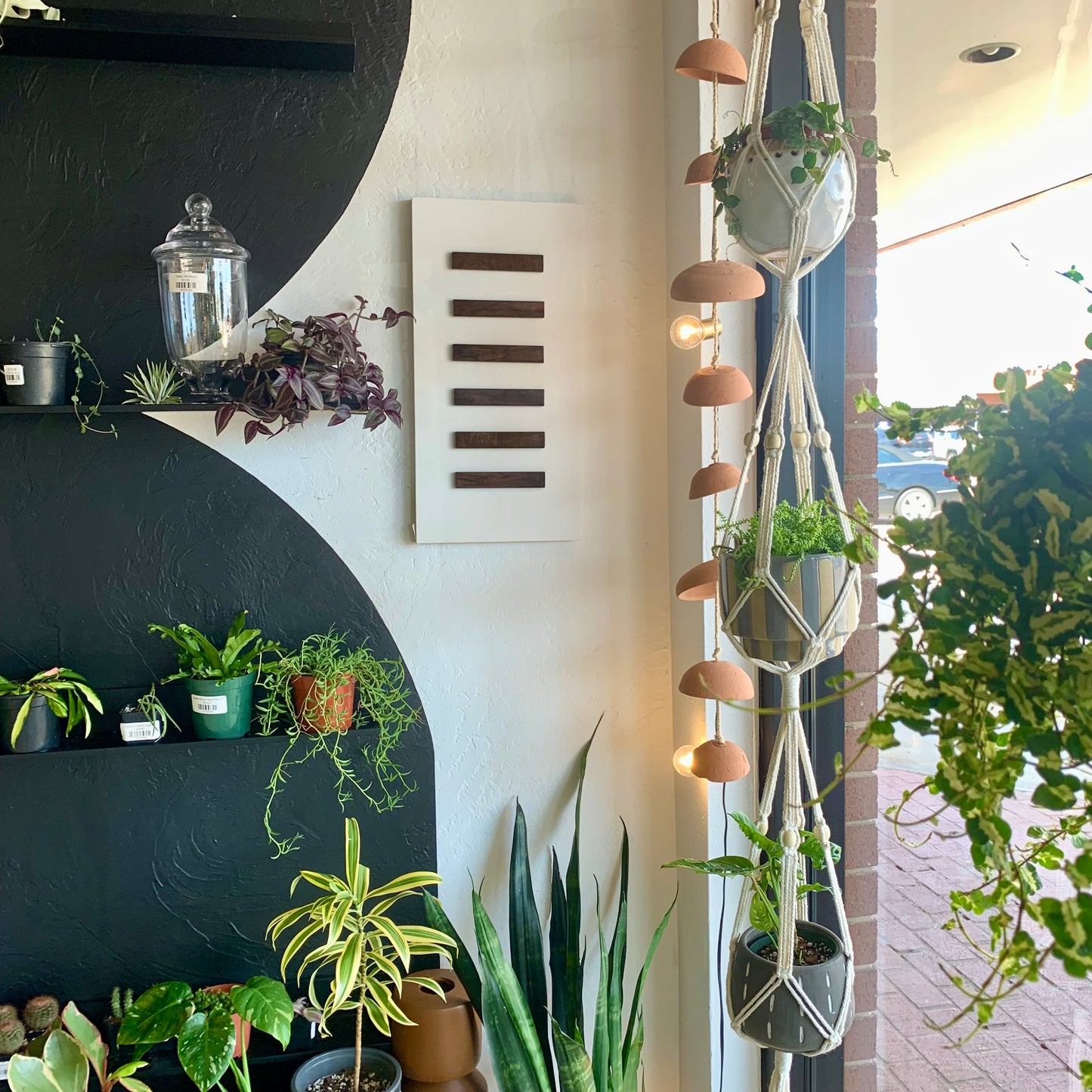 Macrame Plant Hangers