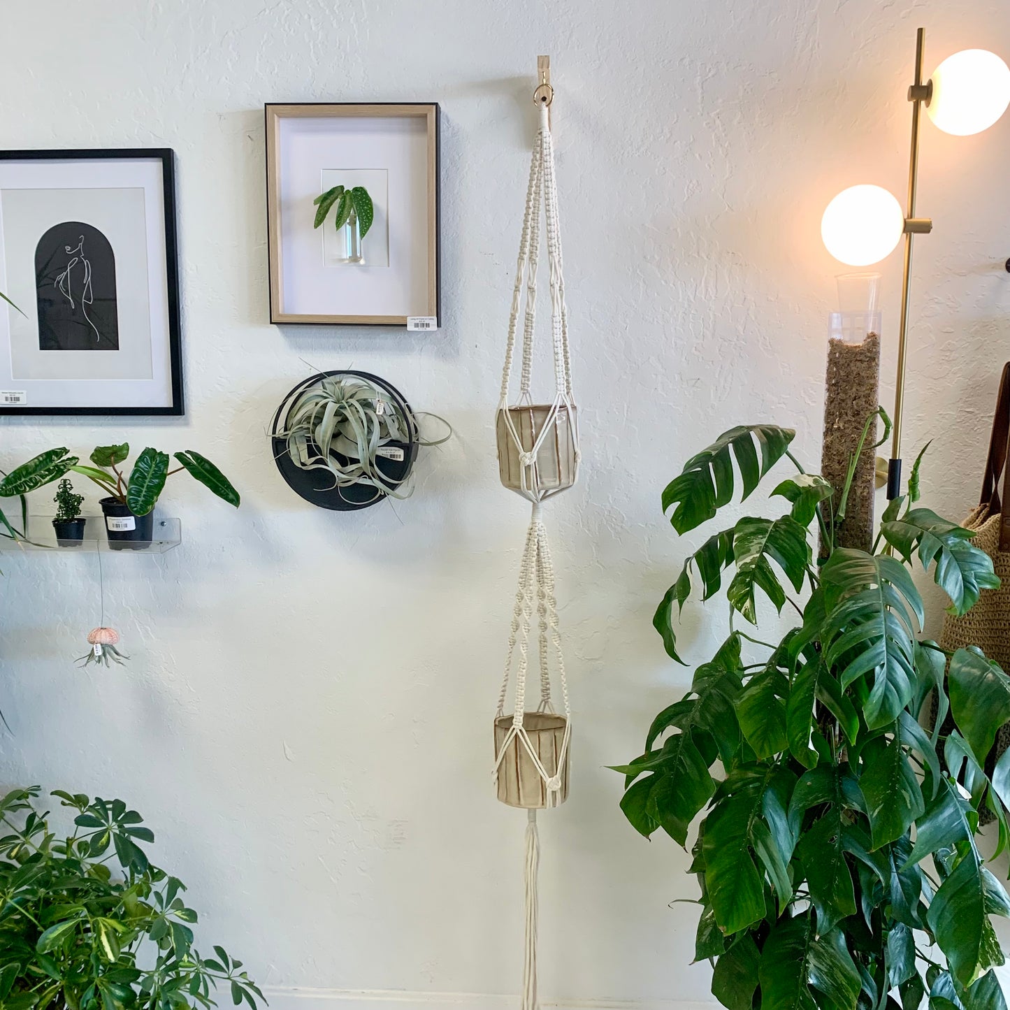 Macrame Plant Hangers