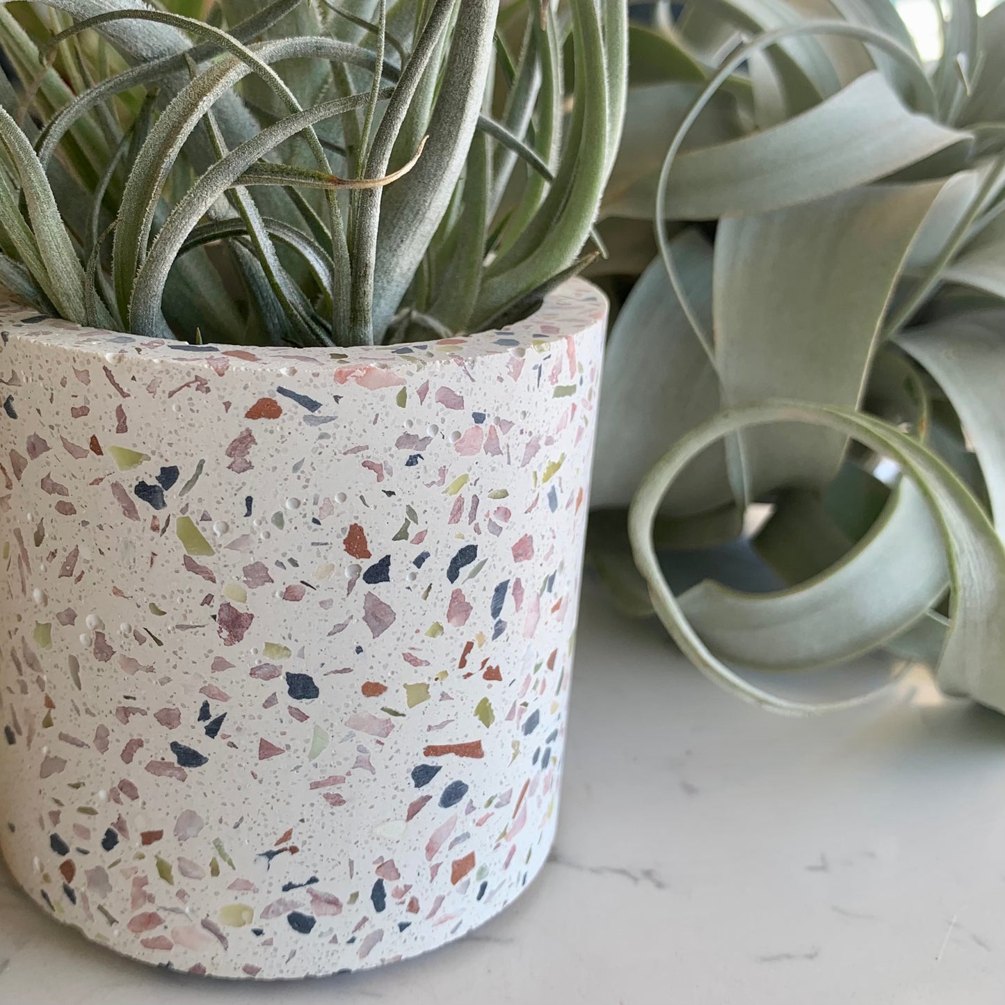 Mini Terrazzo Pot