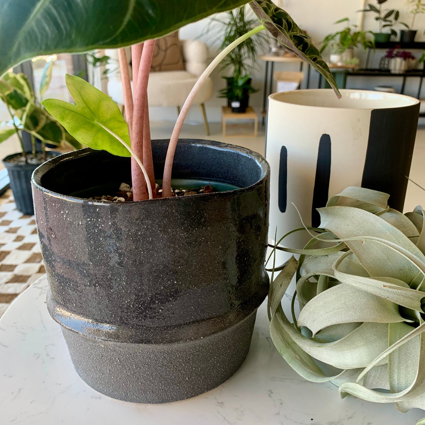 Modern Dark Gray Pot