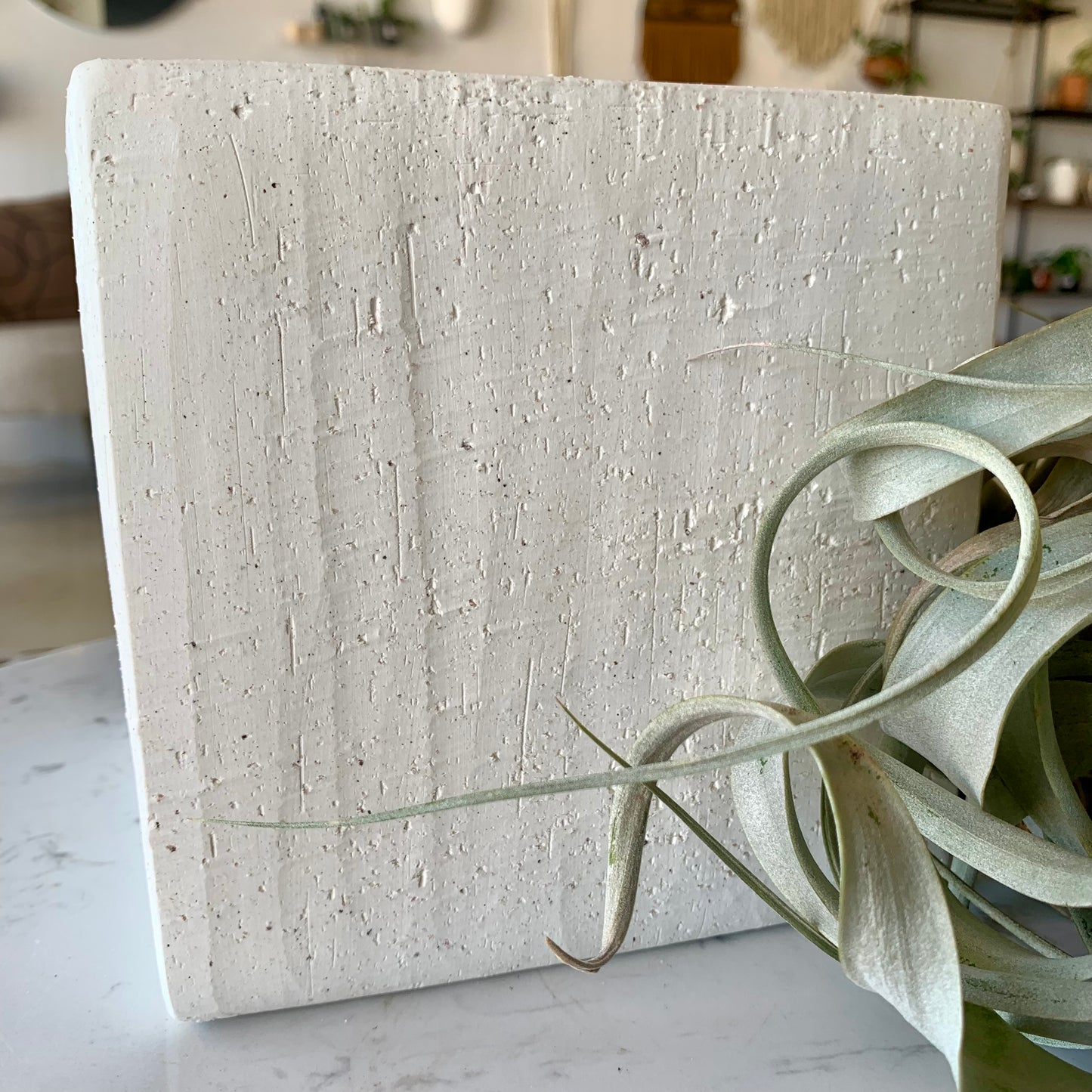 Square Modern Planter