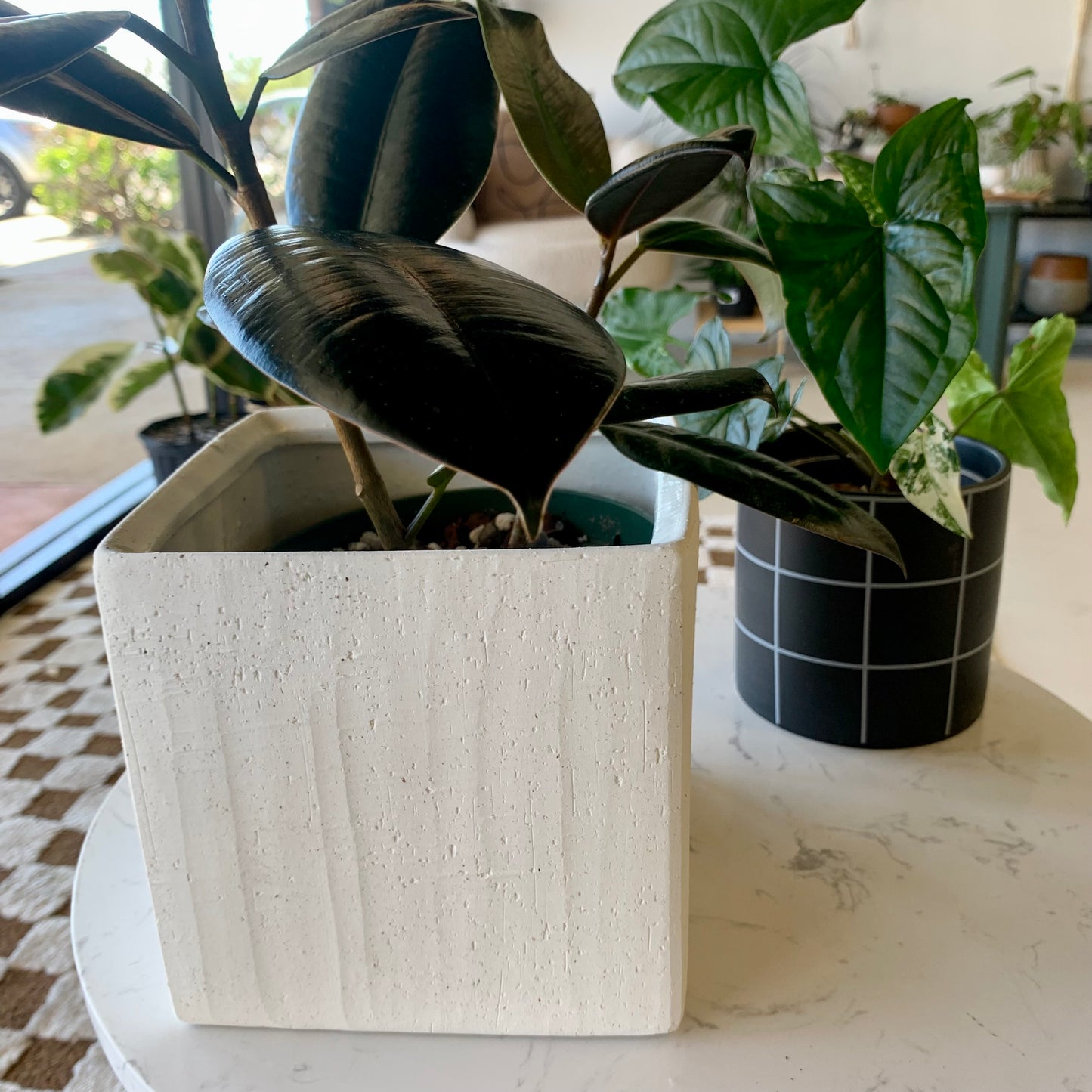 Square Modern Planter