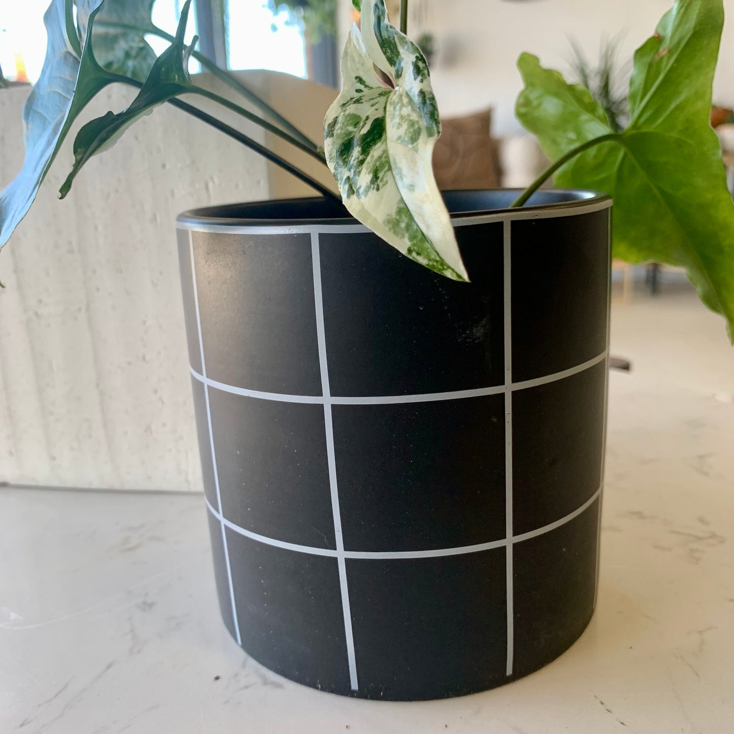 Black & White Grid Planter