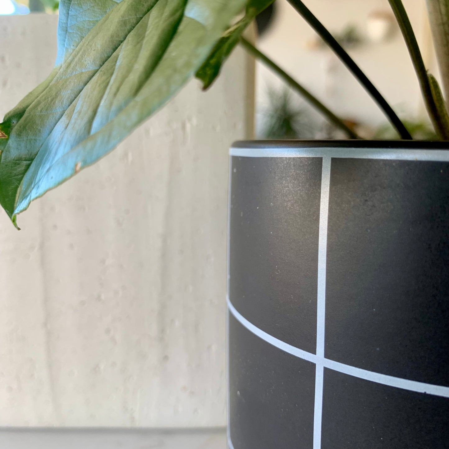 Black & White Grid Planter