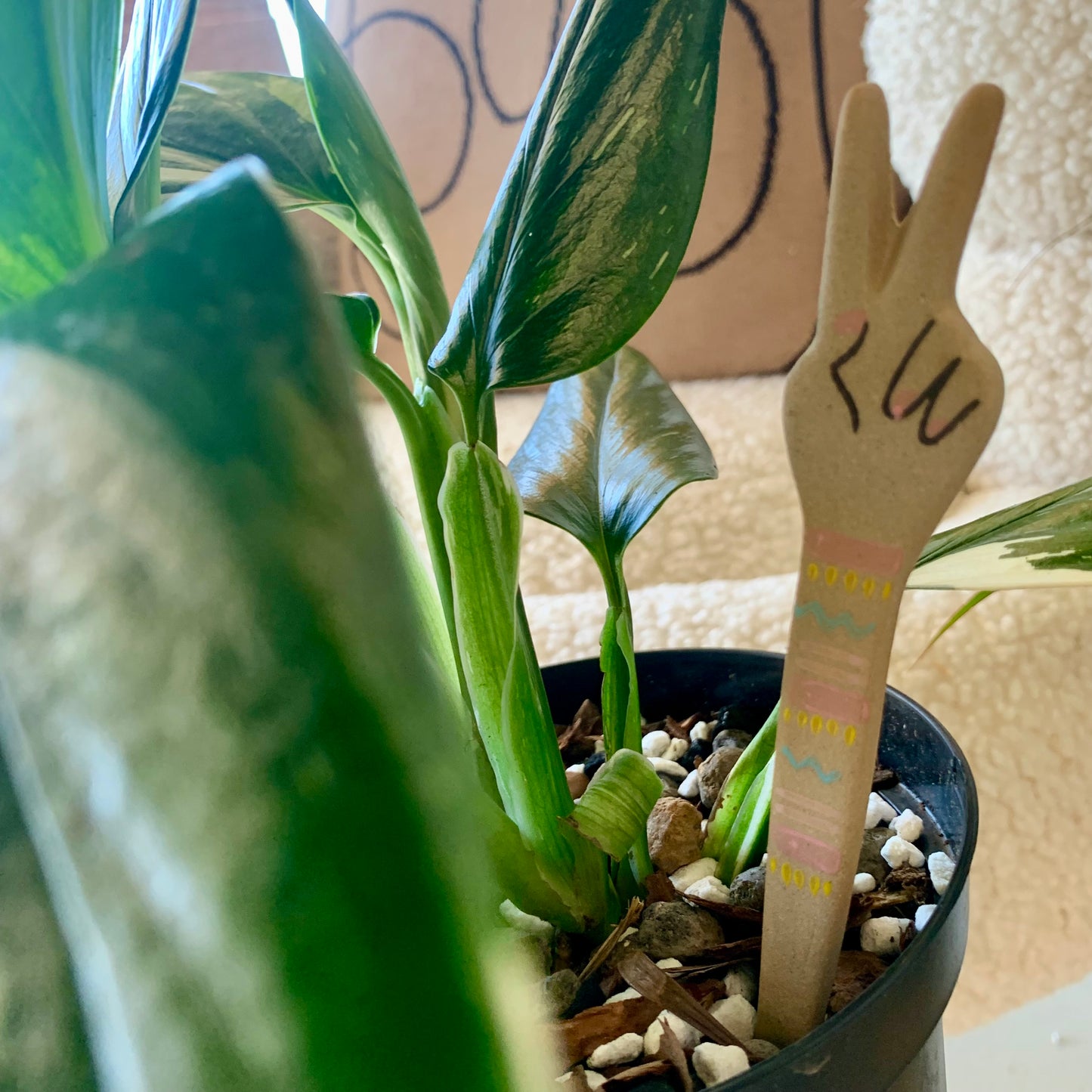 Peace Plant Stick