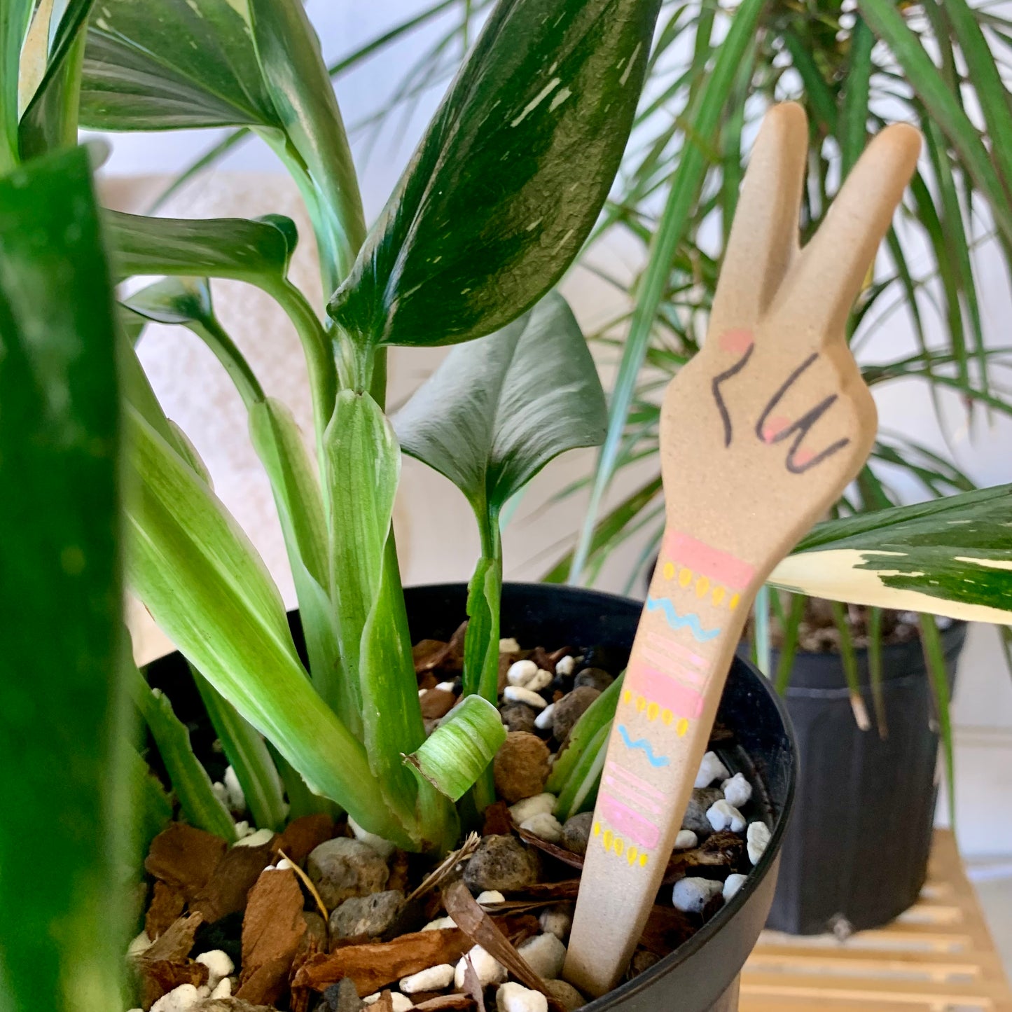 Peace Plant Stick