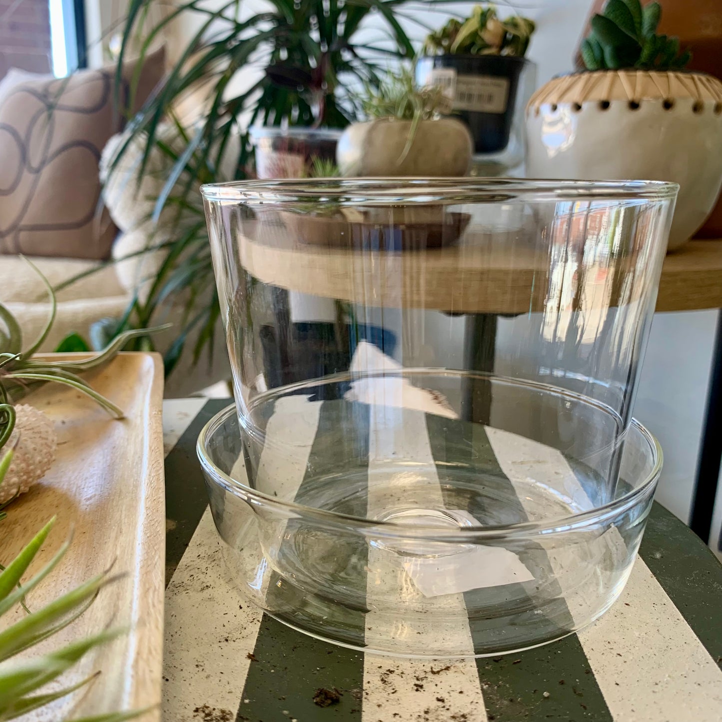 Glass Planter & Saucer