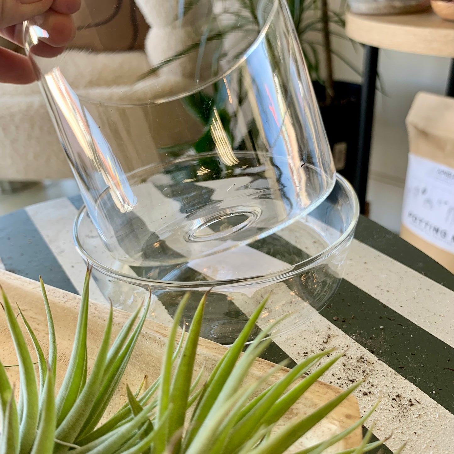 Glass Planter & Saucer