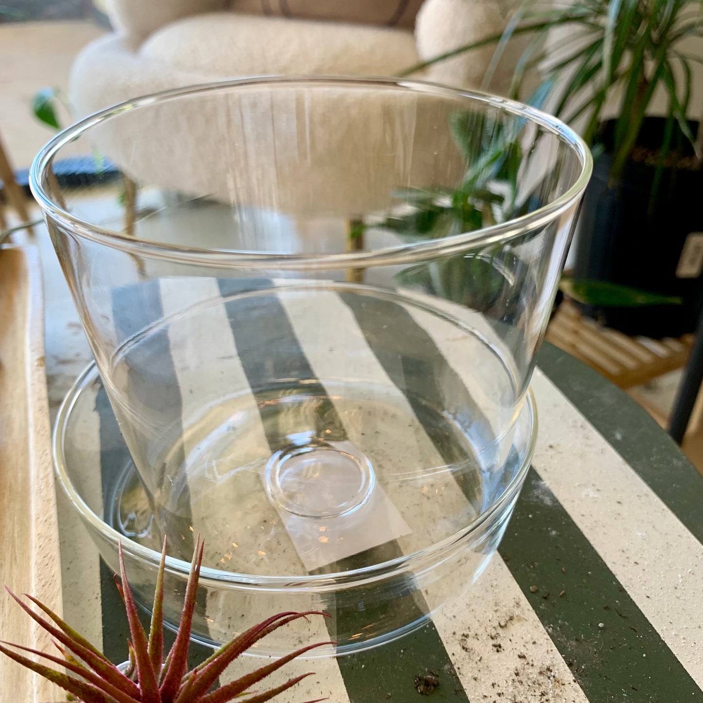 Glass Planter & Saucer