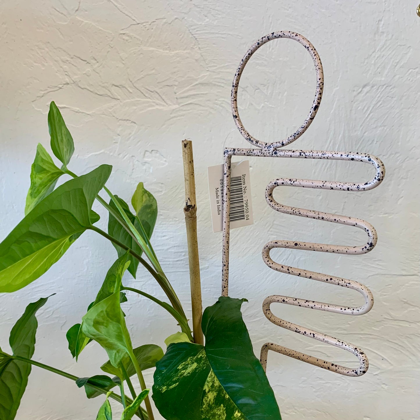 Speckled Plant Stake