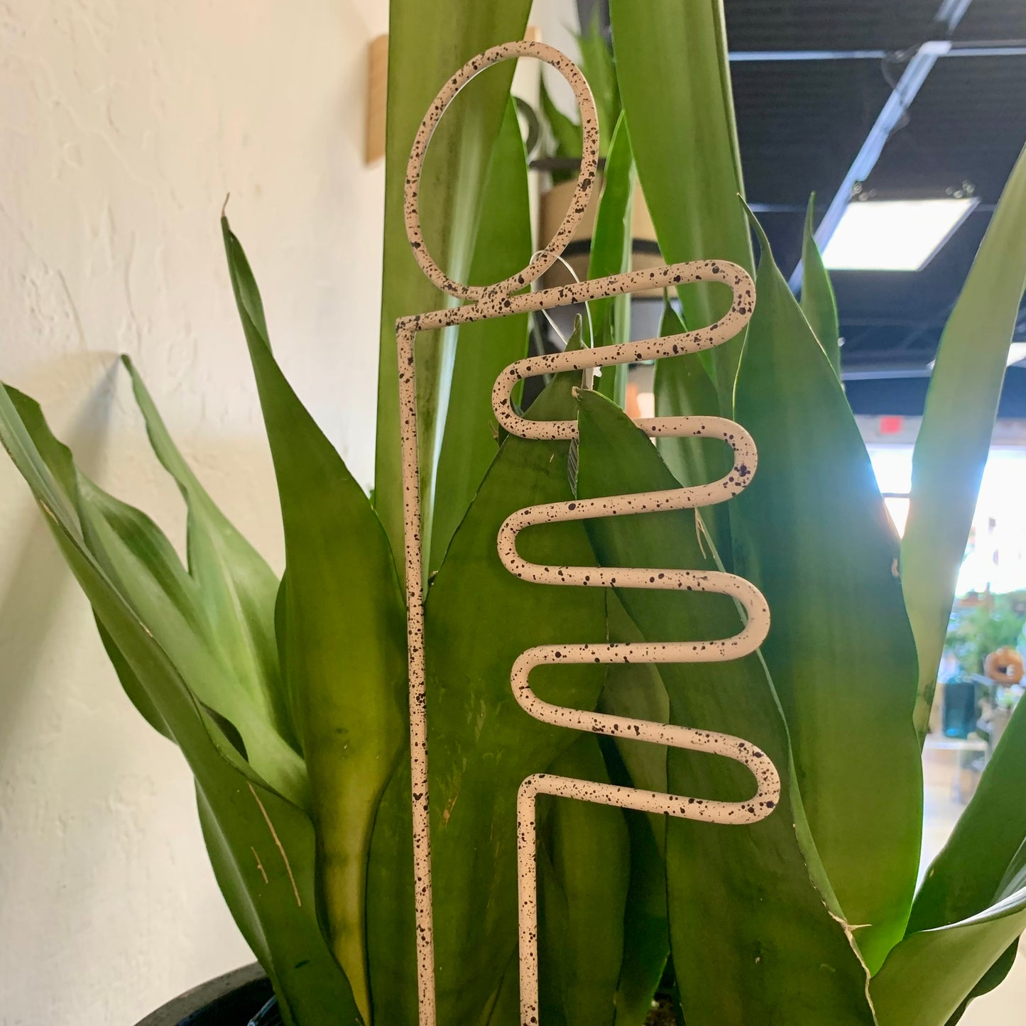 Speckled Plant Stake