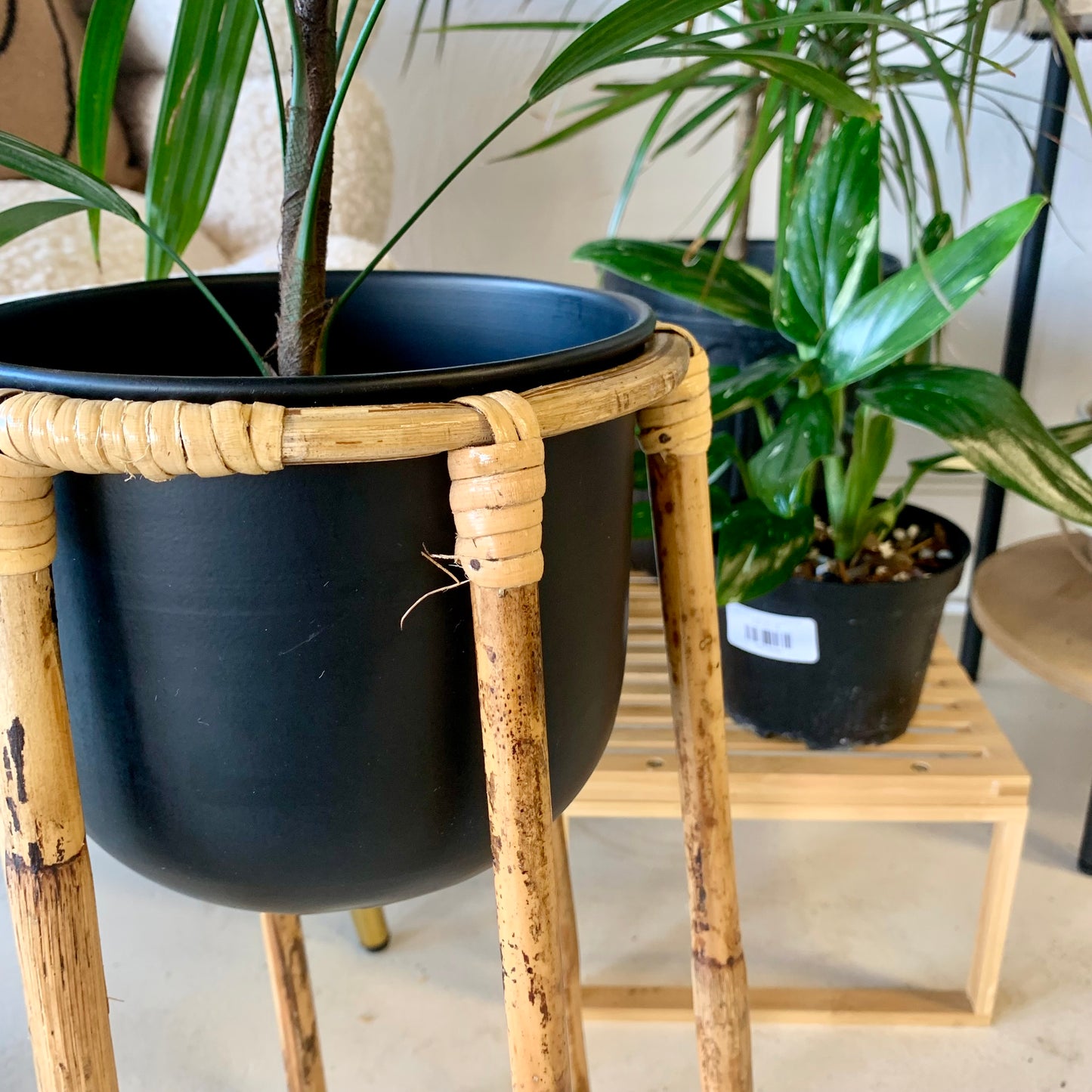 Boho Plant Stand