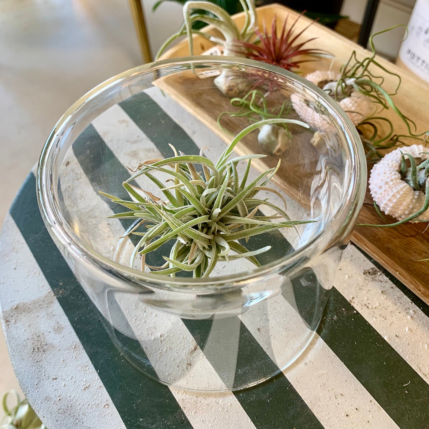 Modern Glass Bowl