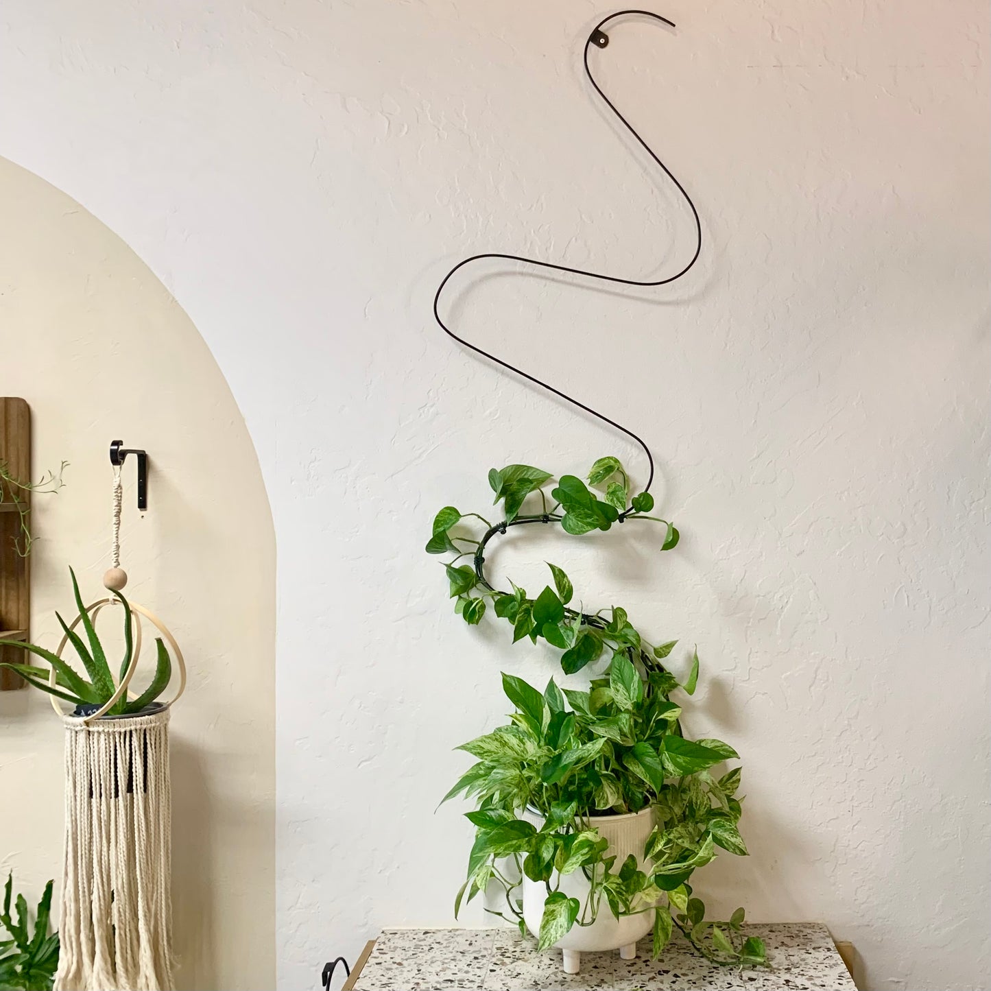 Wavy Wall Trellis