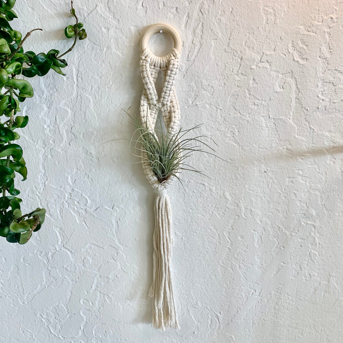 Macrame Air Plant Hanger