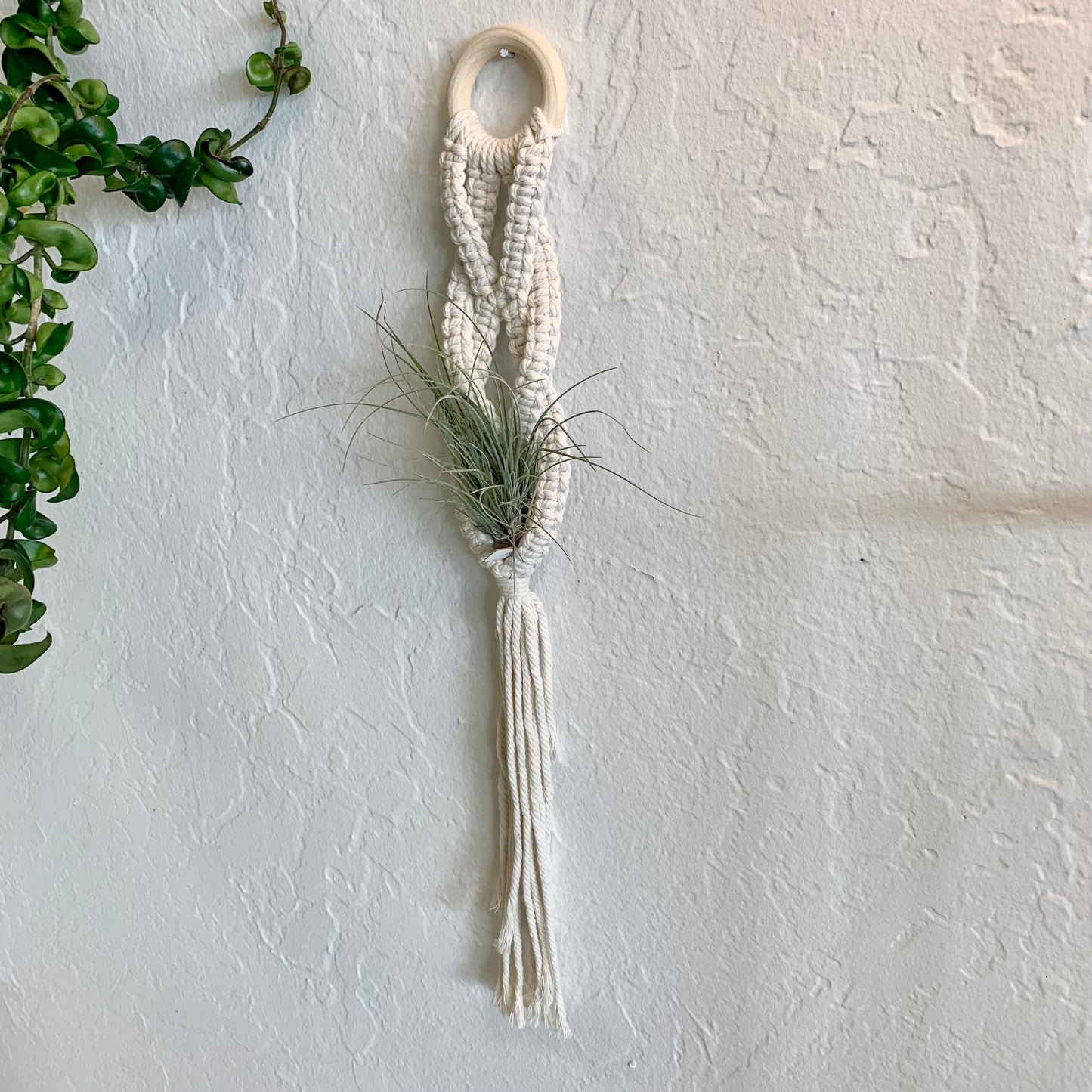 Macrame Air Plant Hanger