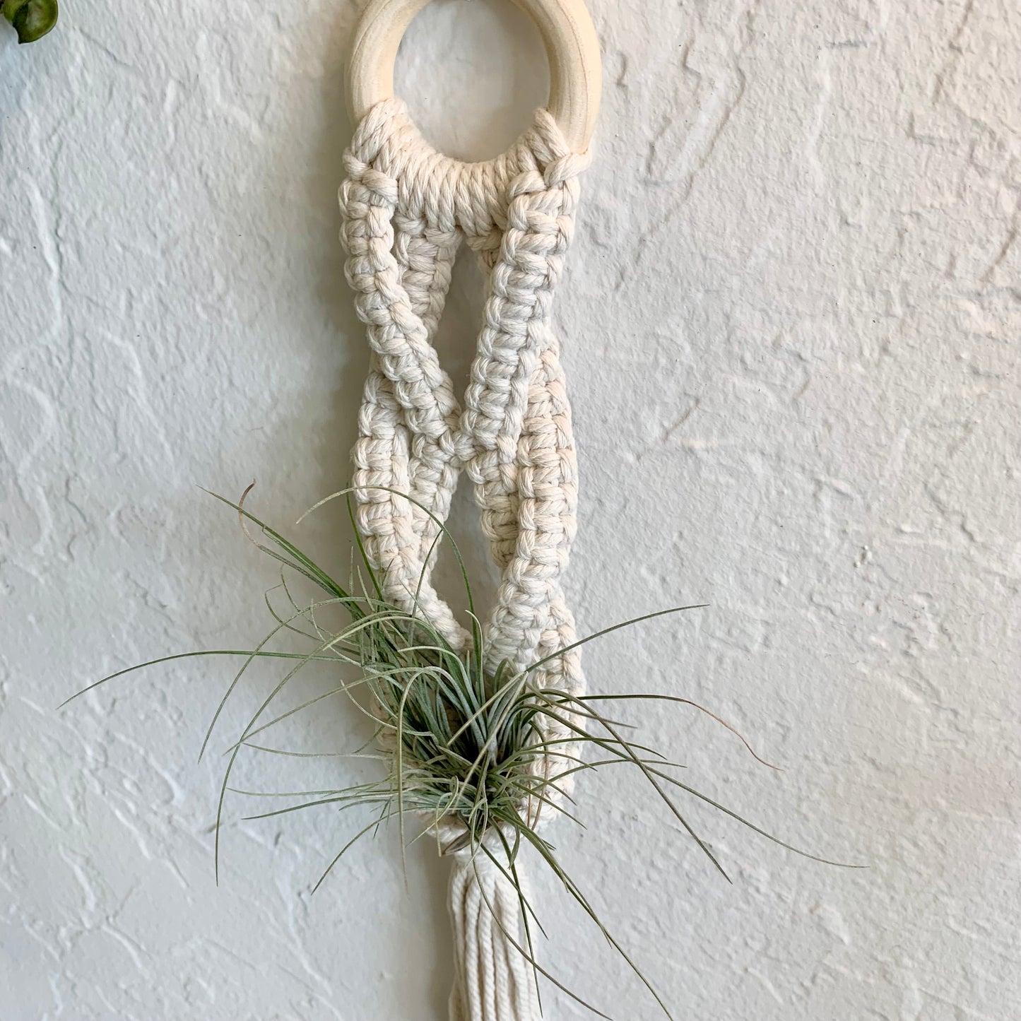Macrame Air Plant Hanger