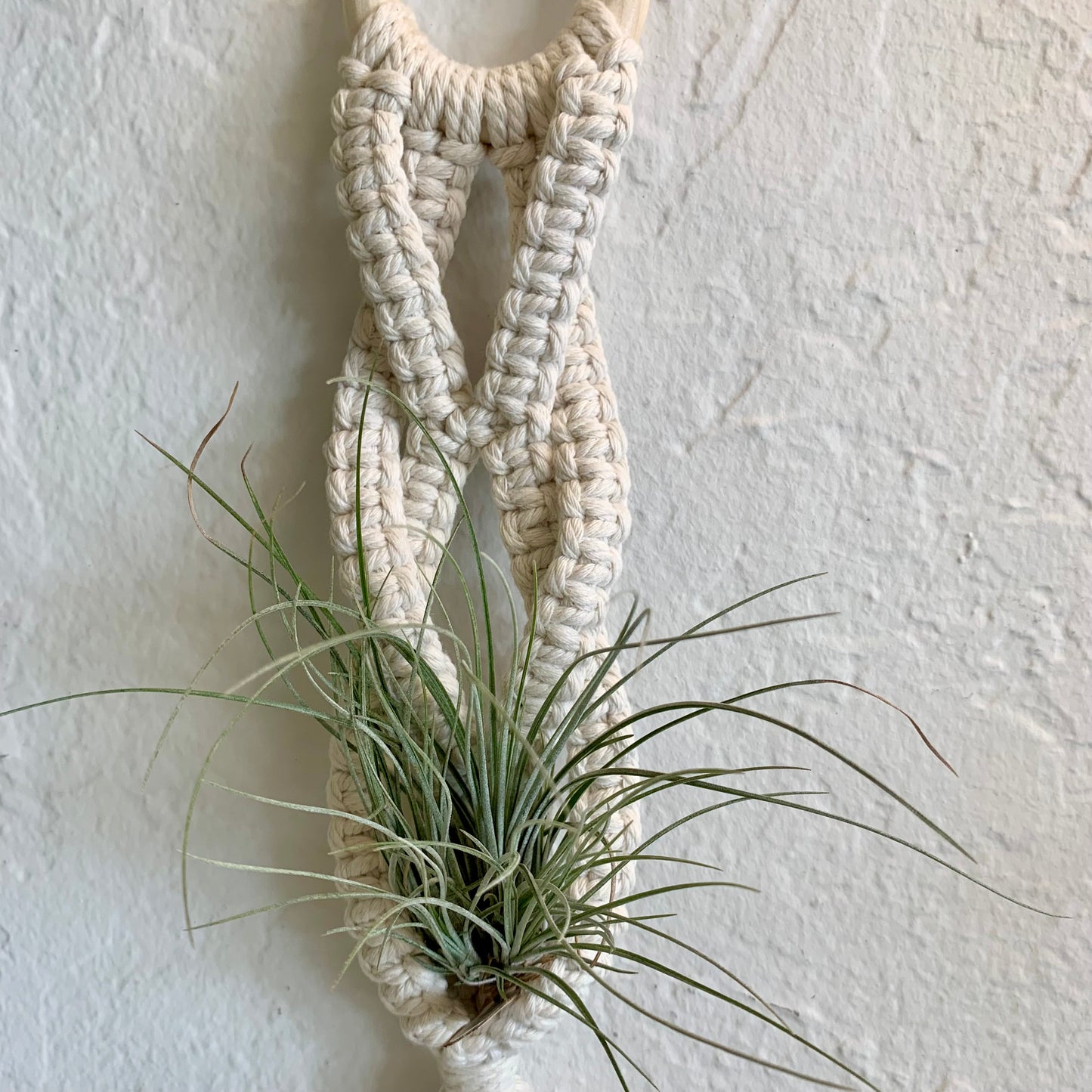 Macrame Air Plant Hanger
