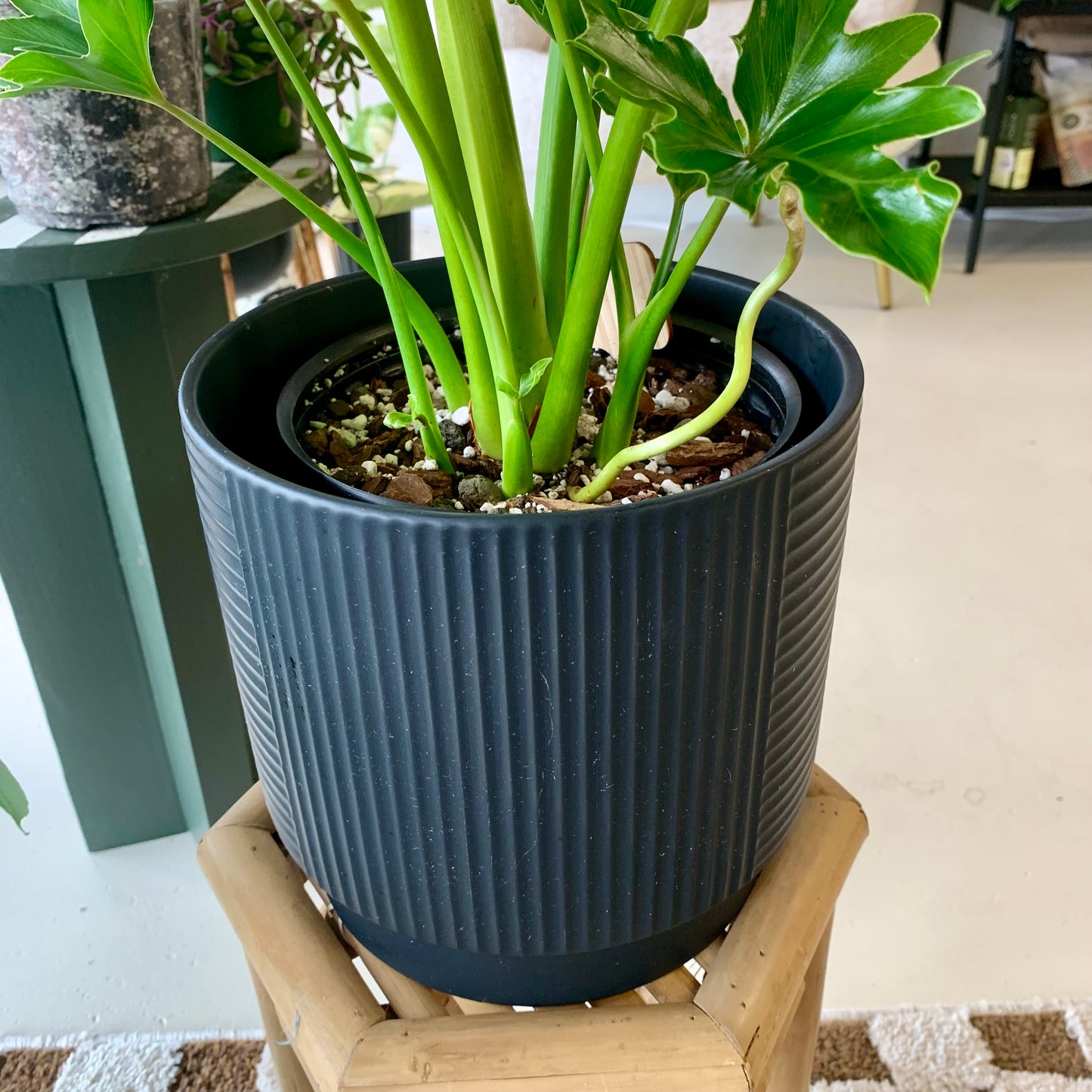 Textured Black Planter