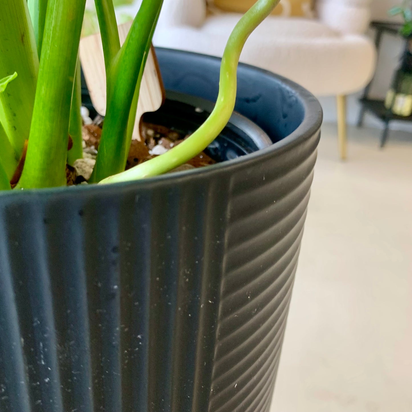 Textured Black Planter