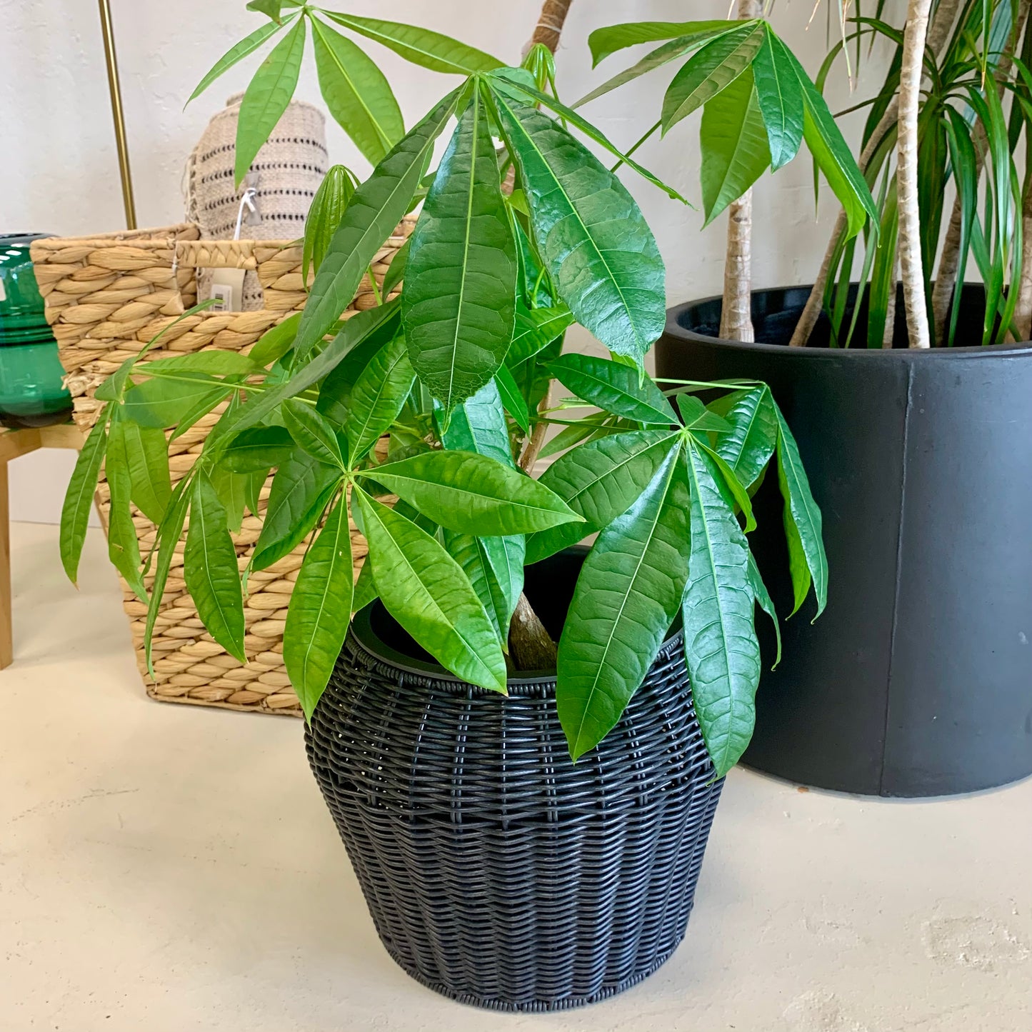 Resin Wicker Indoor/Outdoor Planter