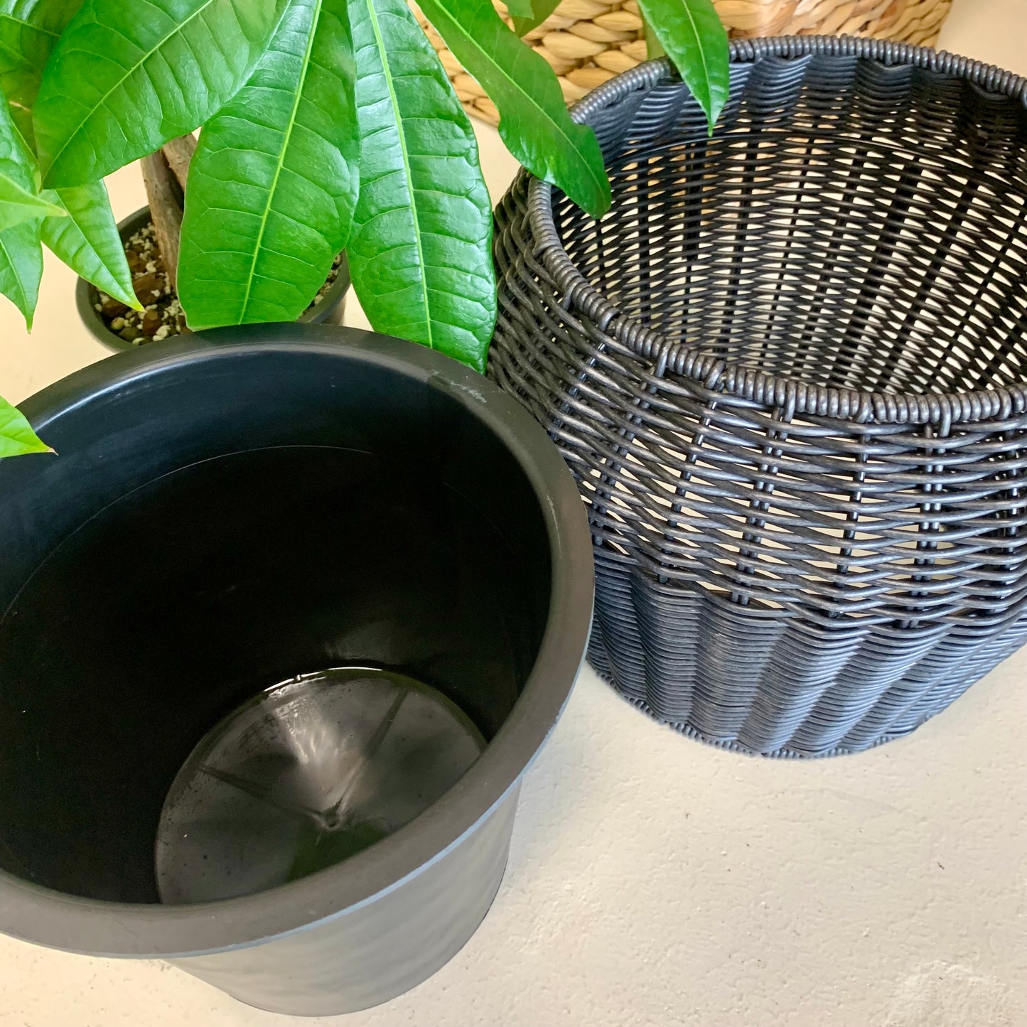Resin Wicker Indoor/Outdoor Planter