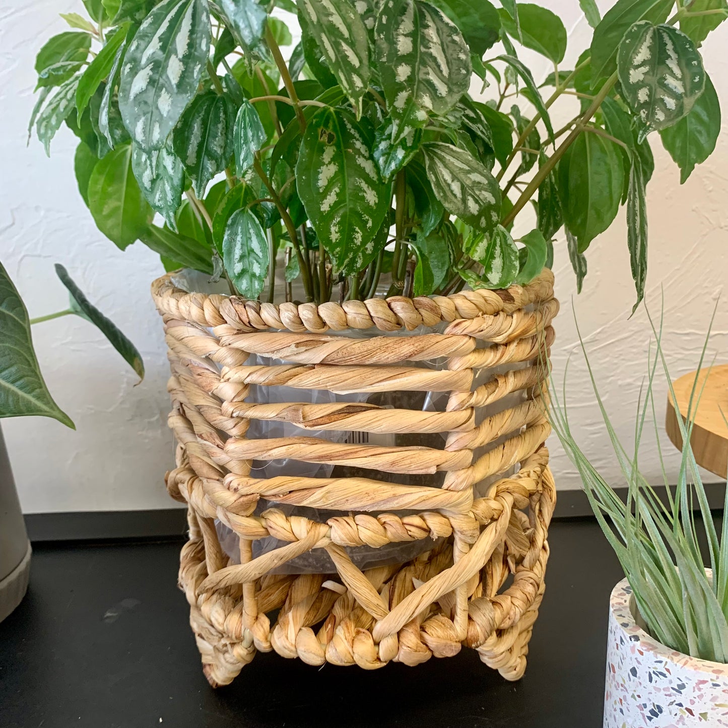 Lined Natural Seagrass Planter