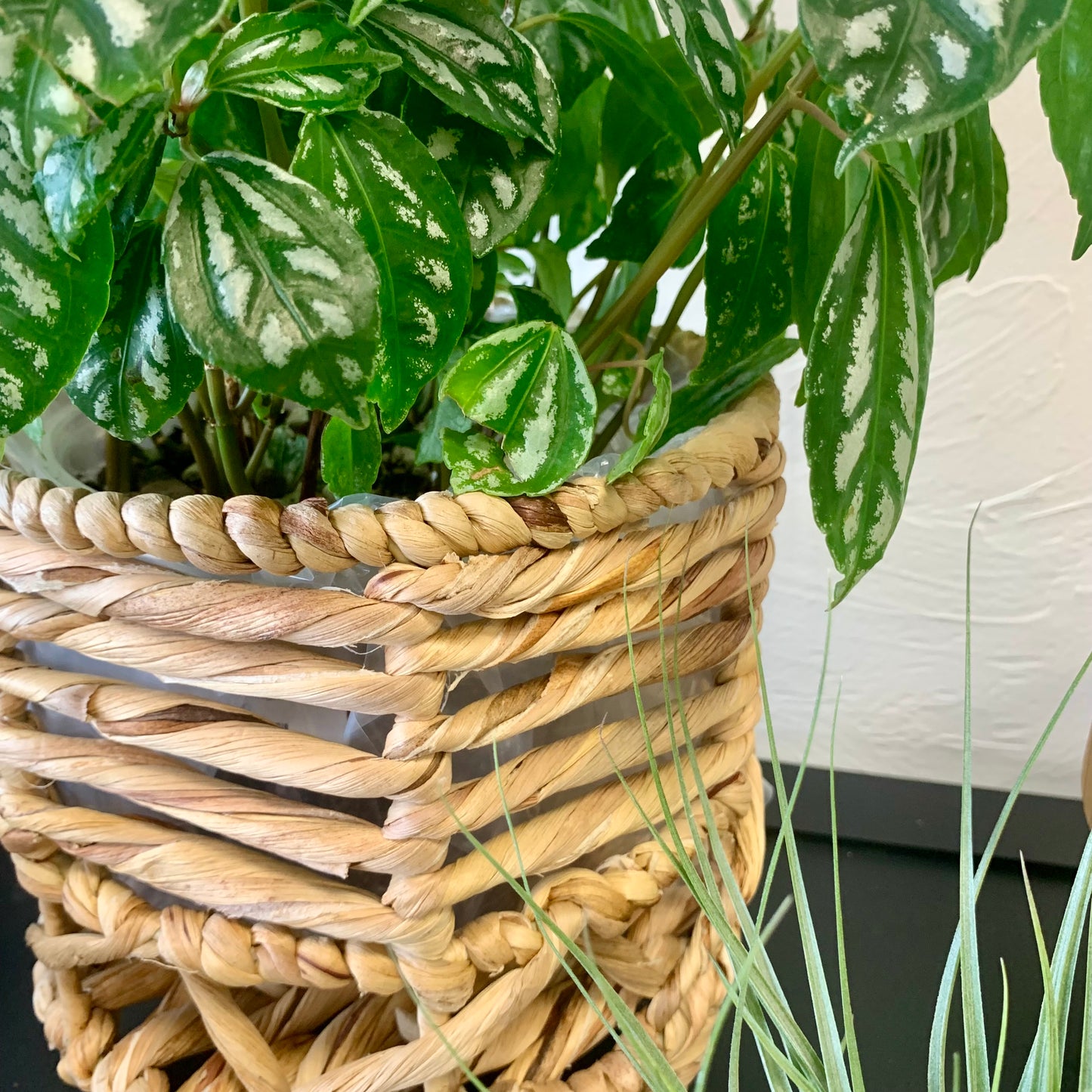 Lined Natural Seagrass Planter