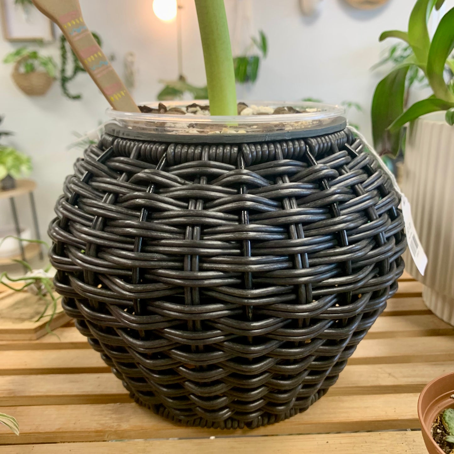 Resin Wicker Indoor/Outdoor Planter