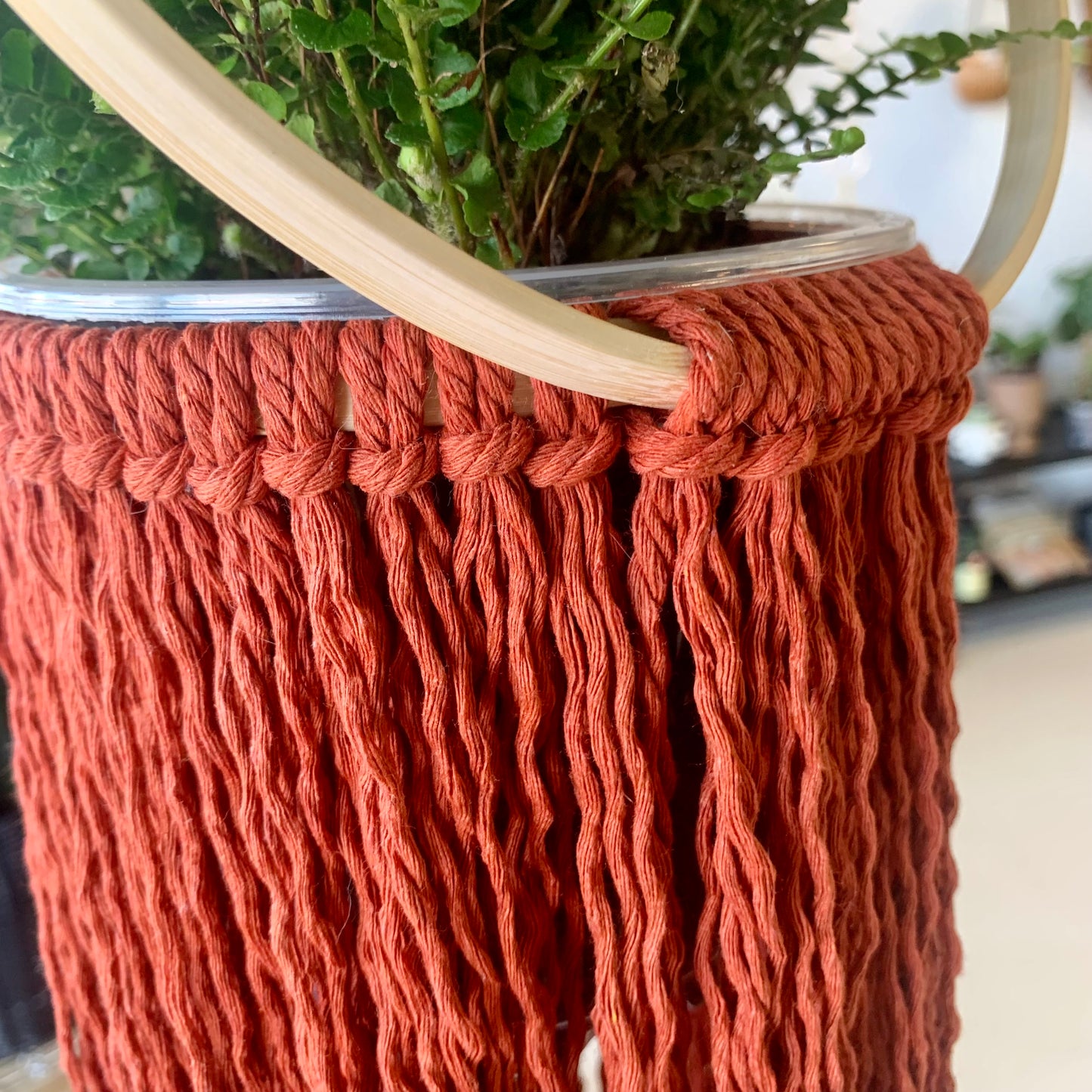 Rust Macrame Plant Hanger