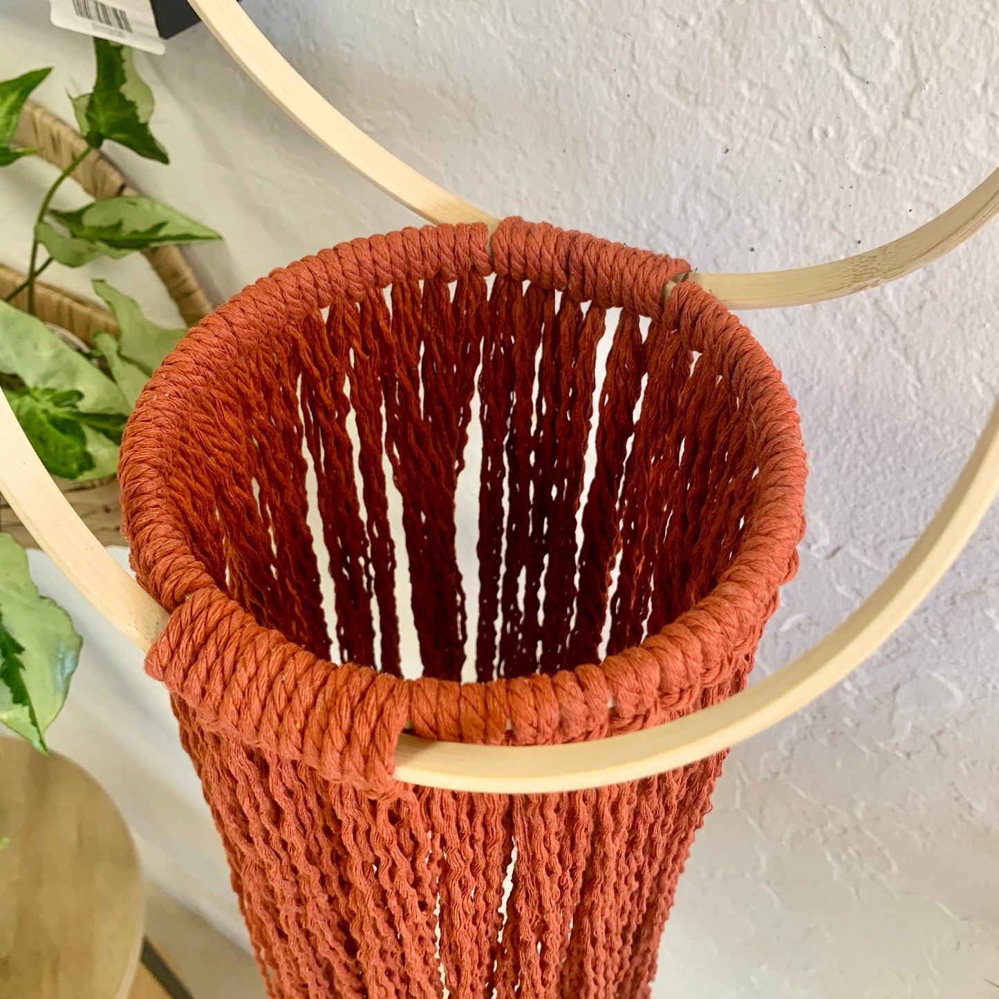 Rust Macrame Plant Hanger
