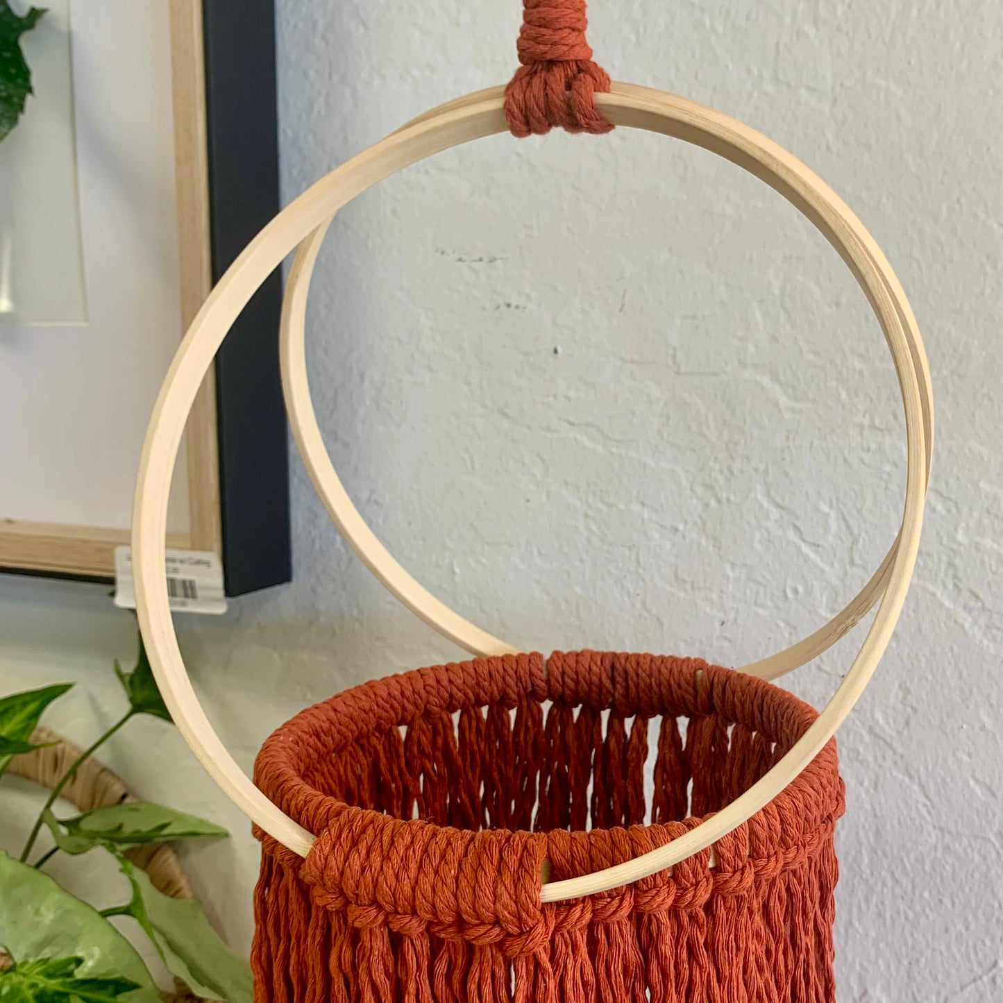 Rust Macrame Plant Hanger