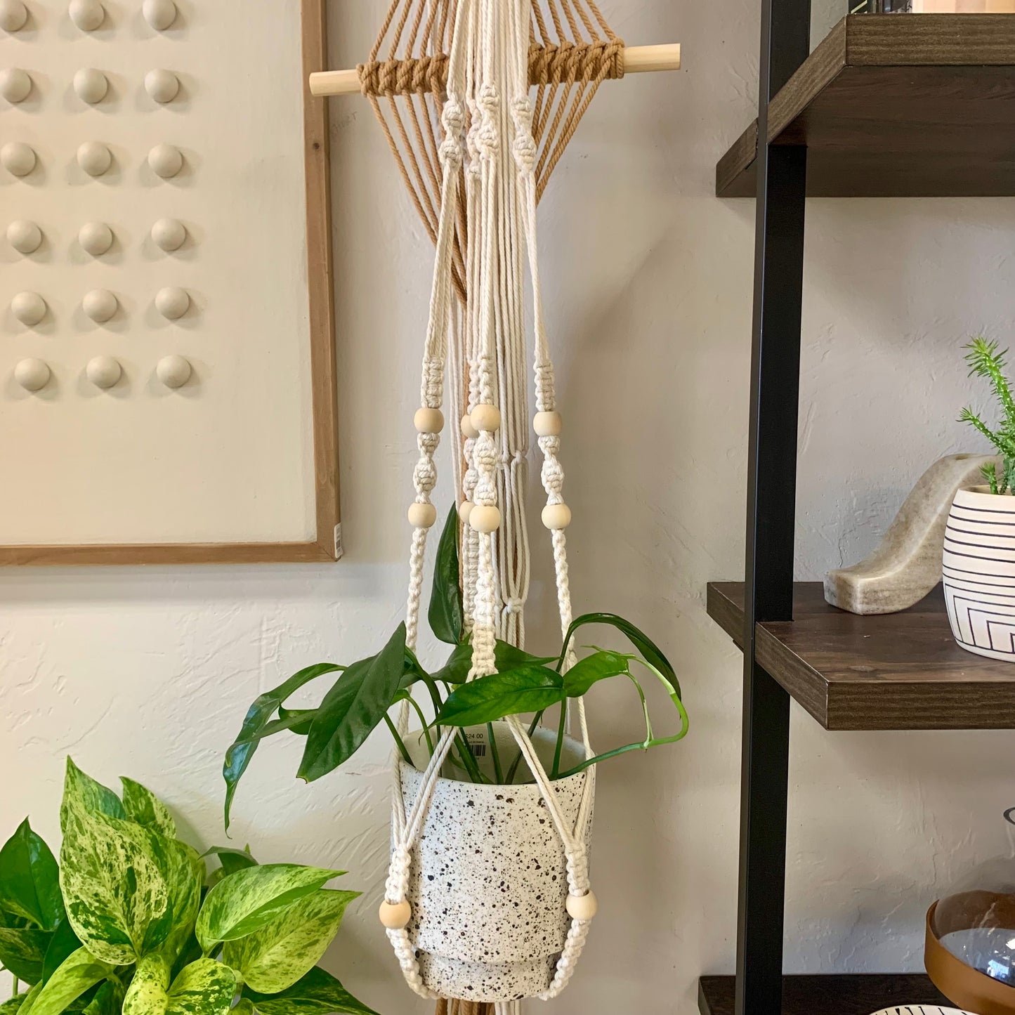 Macrame Plant Hangers