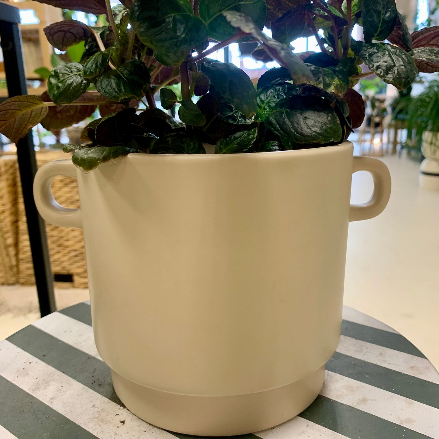 Simple Cream Colored Planter