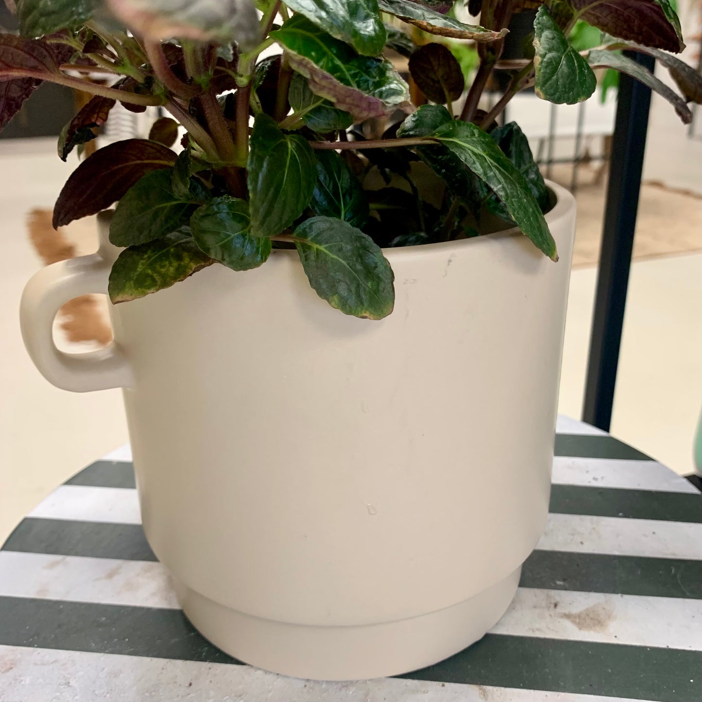 Simple Cream Colored Planter