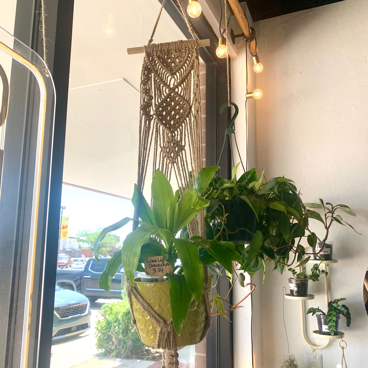 Macrame Plant Hangers